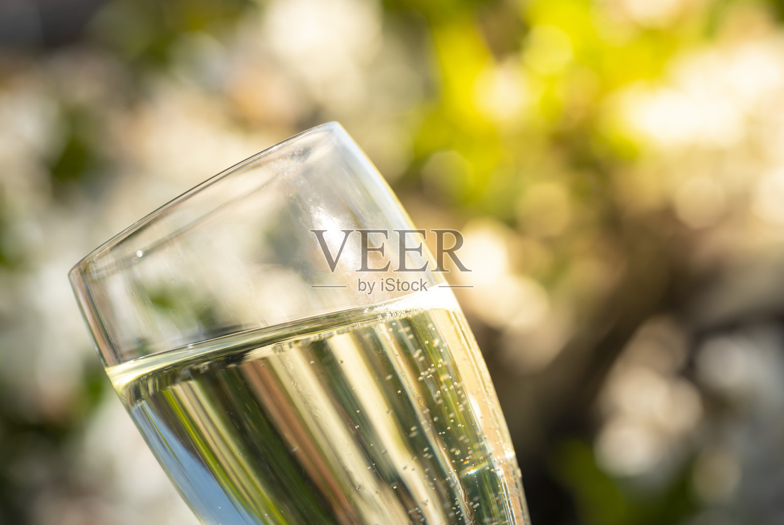 单一的香槟笛子照片摄影图片