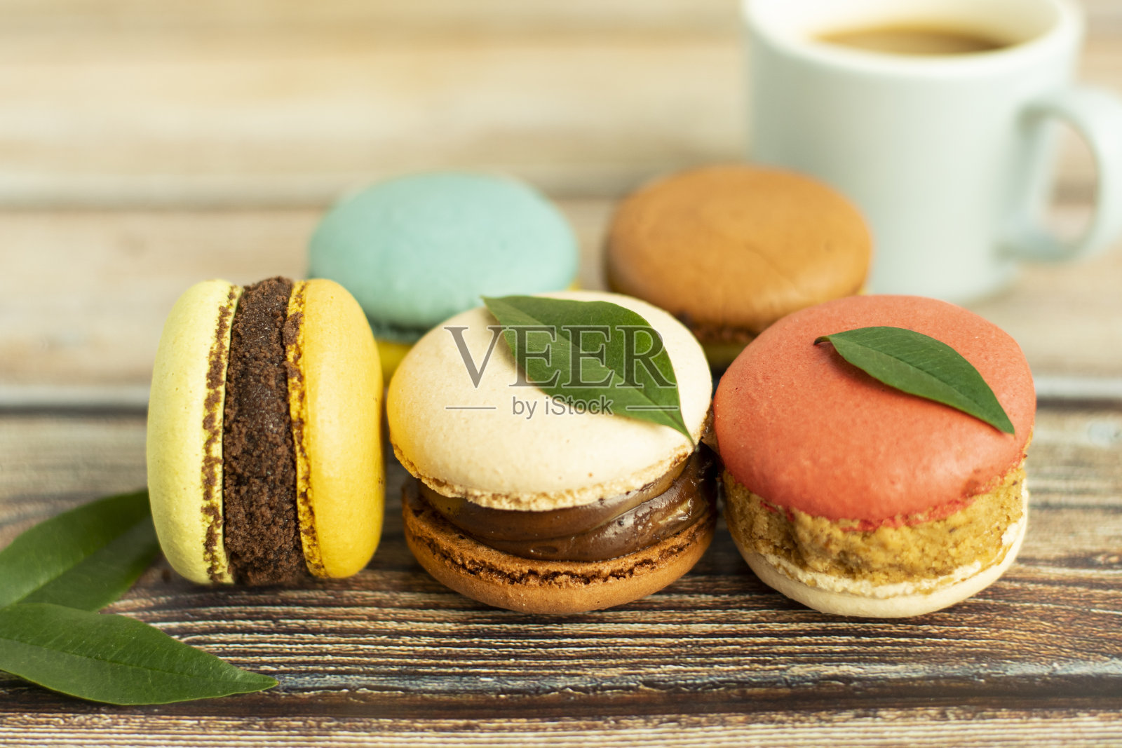 按钮照片摄影图片