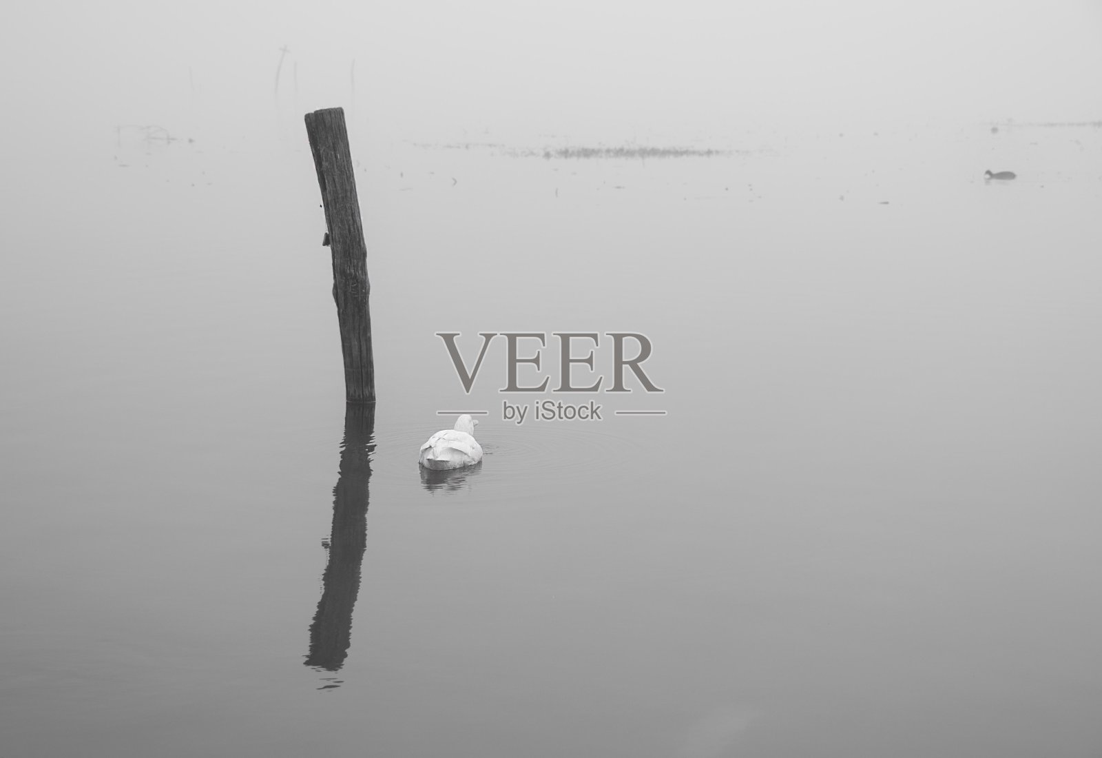 阿尔塞里奥湖， 公司， 意大利照片摄影图片