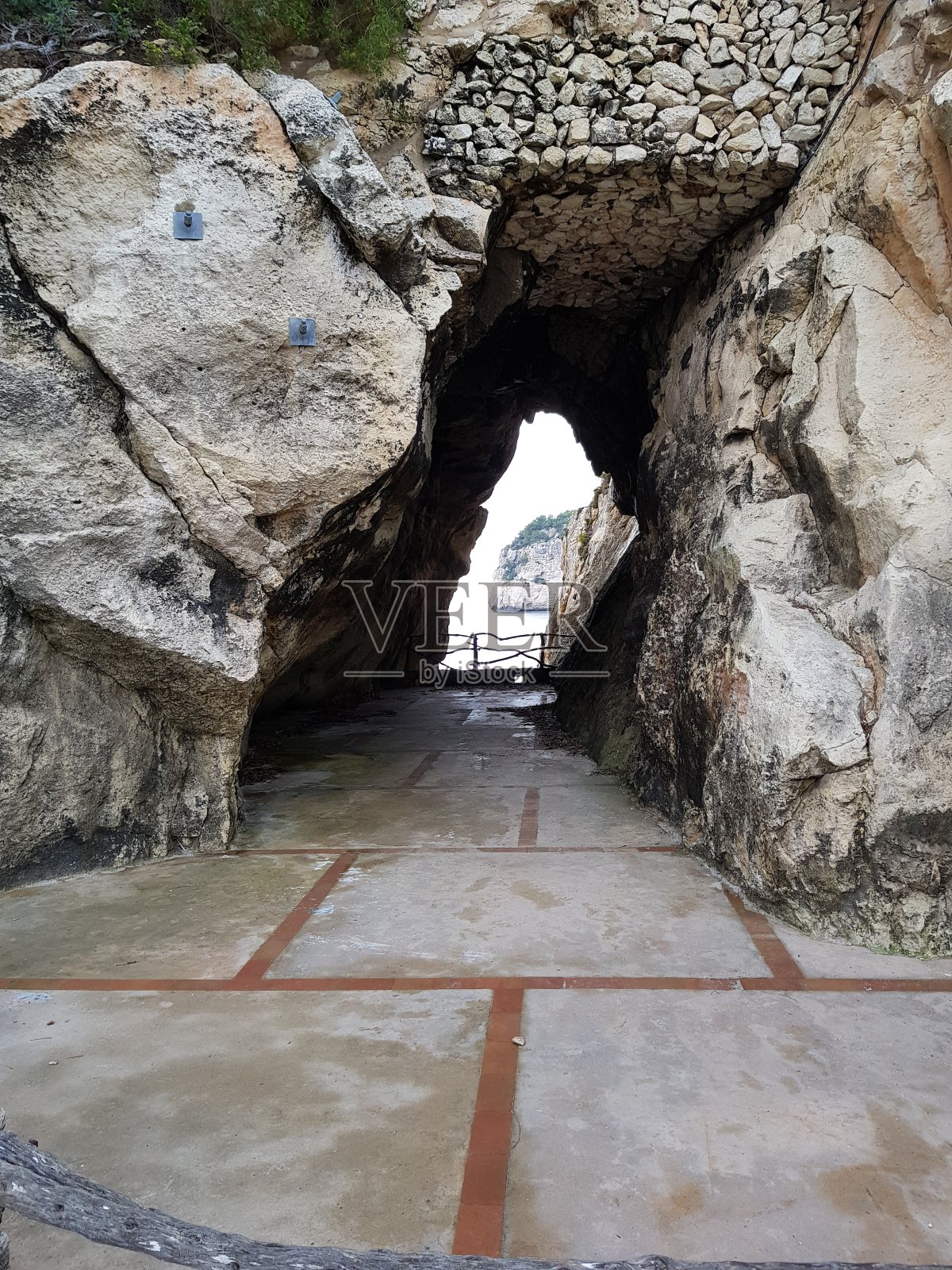 直接照片摄影图片