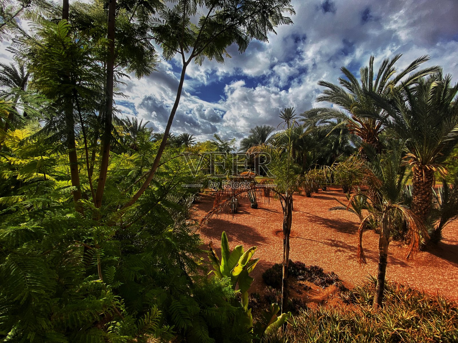 马拉喀什Palmeraie戏剧性的天空照片摄影图片