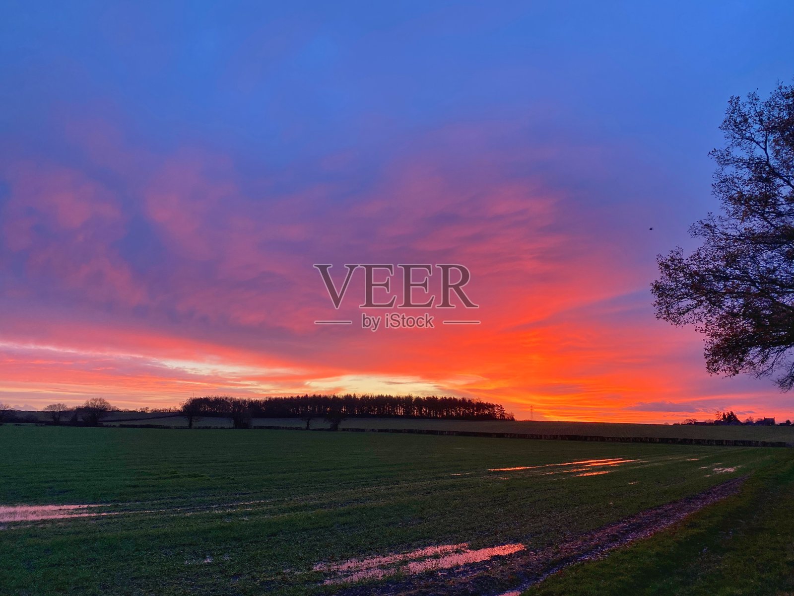 的阳光照片摄影图片