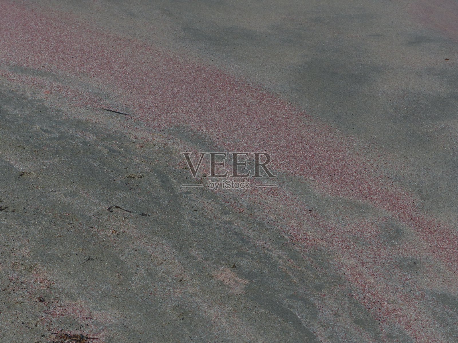 希腊克里特岛Elafonisi的粉红色沙滩照片摄影图片