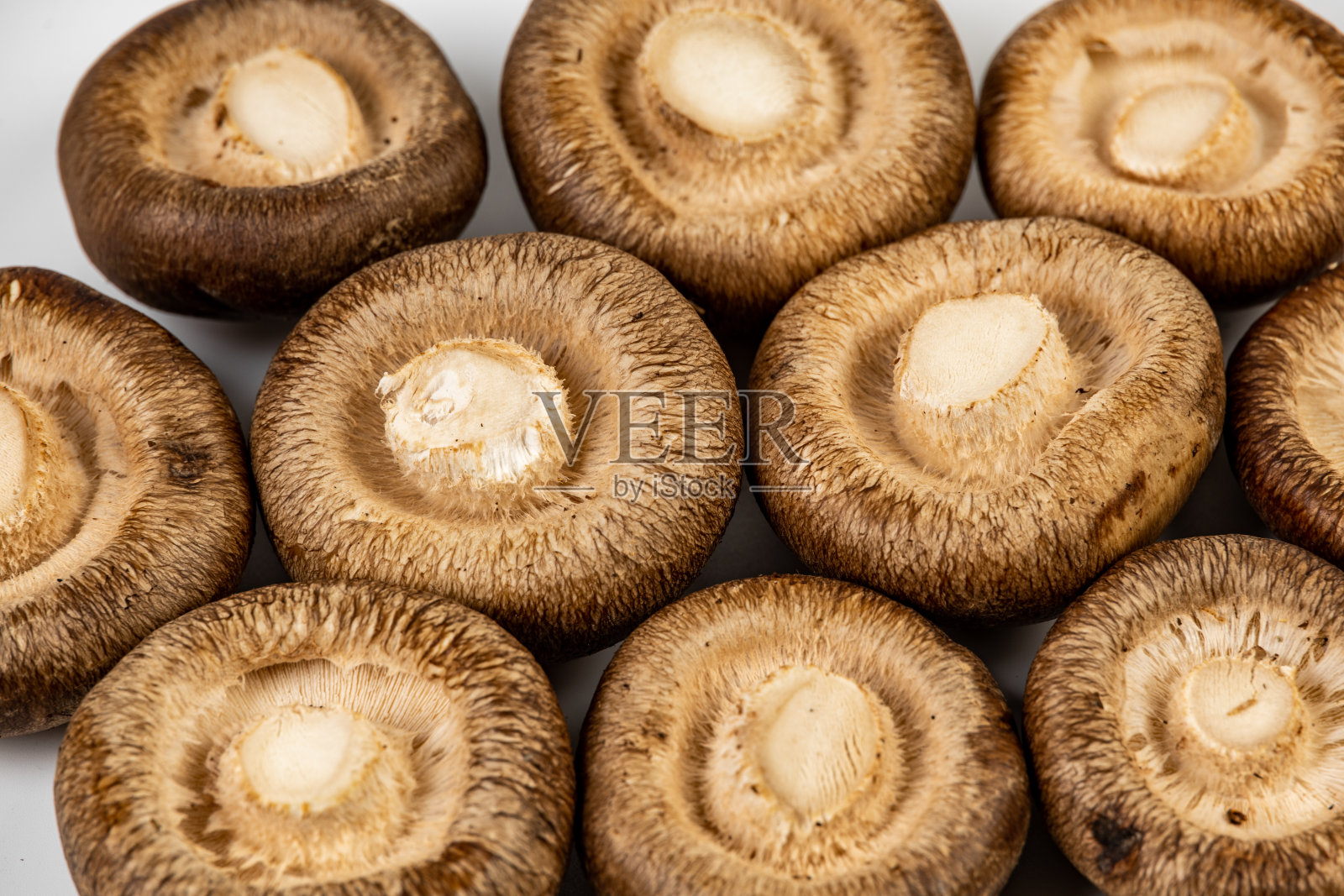 新鲜的香菇放在盘子里，白色的背景。照片摄影图片