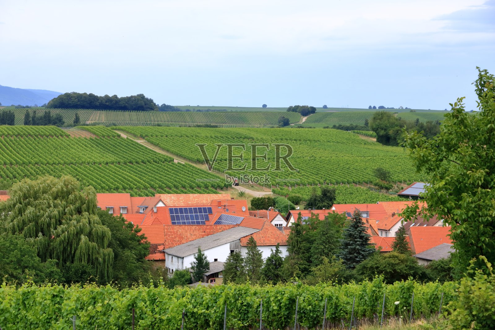 从葡萄园到普法尔茨的德国葡萄酒之路上的一个小村庄照片摄影图片