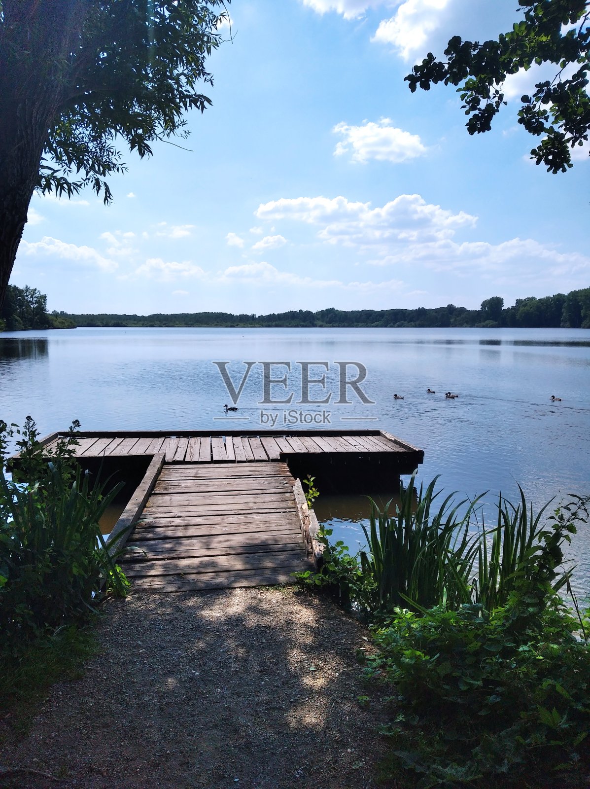 夏天湖照片摄影图片