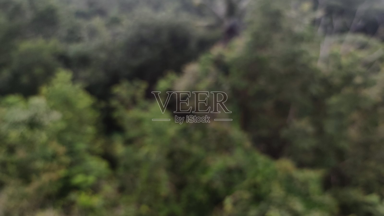 模糊树背景照片摄影图片