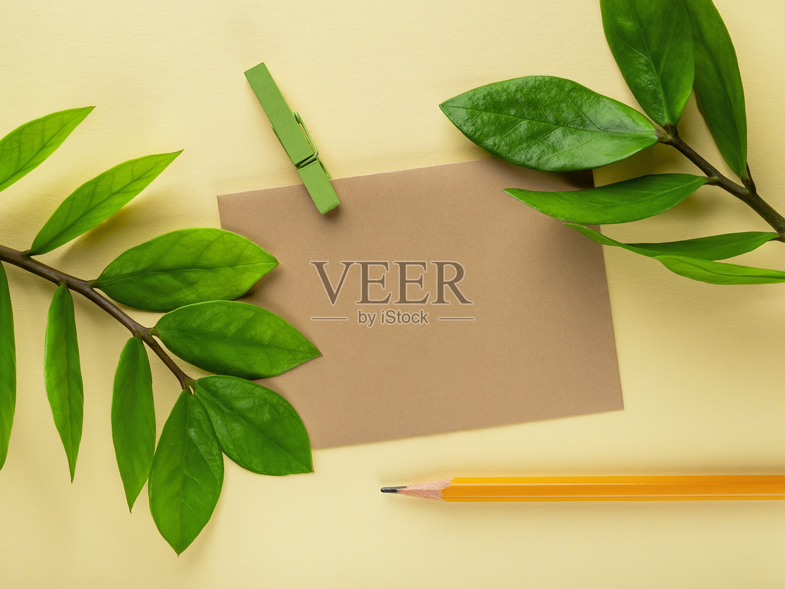 空白的棕色纸卡，简单的铅笔和新鲜的绿色叶子永恒祖祖植物或Zamioculcas zamiifolia在柔和的黄色背景。绿色环保的生活方式。副本的空间。照片摄影图片
