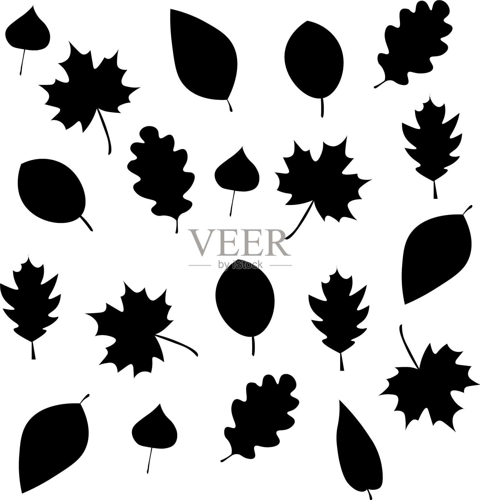 叶子黑色和白色插画图片素材