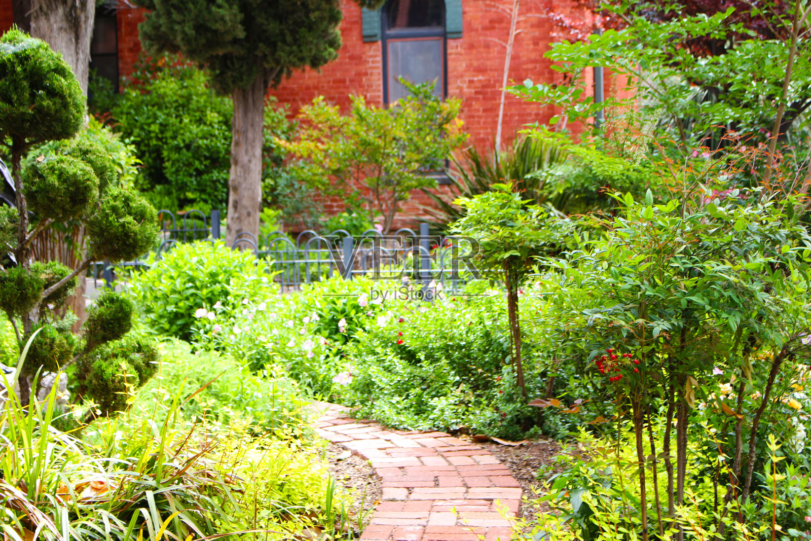 穿过花园的户外路径照片摄影图片
