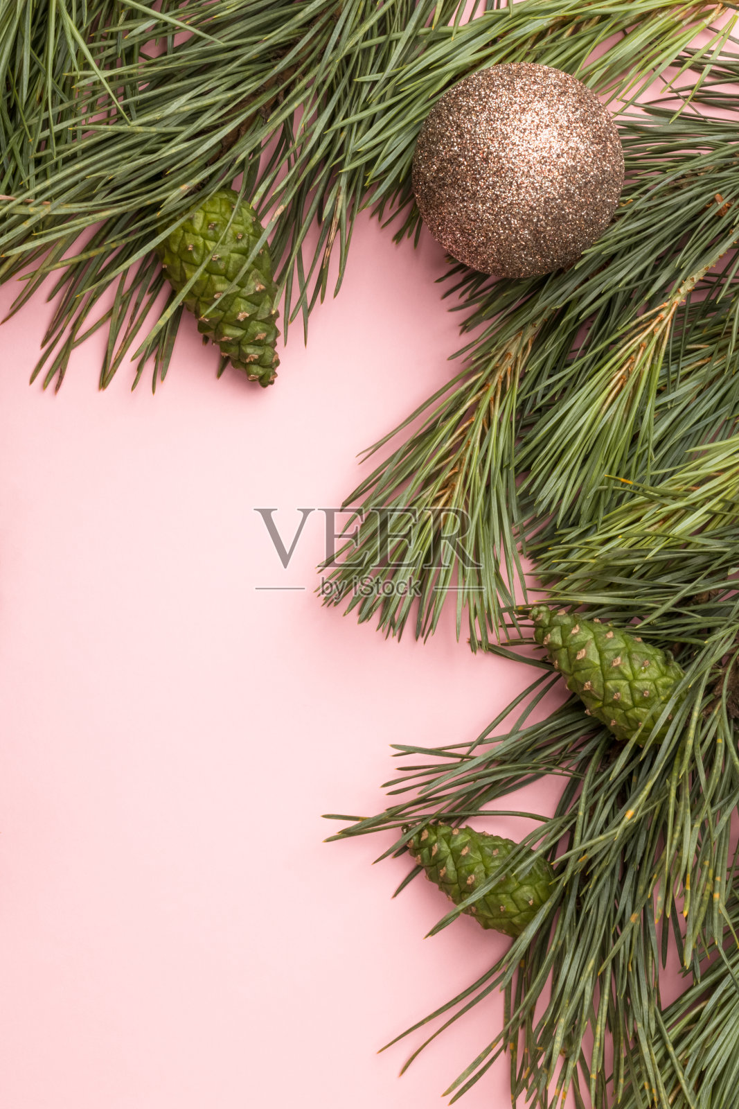粉红色背景上有圣诞球和球果的松树或冷杉枝照片摄影图片