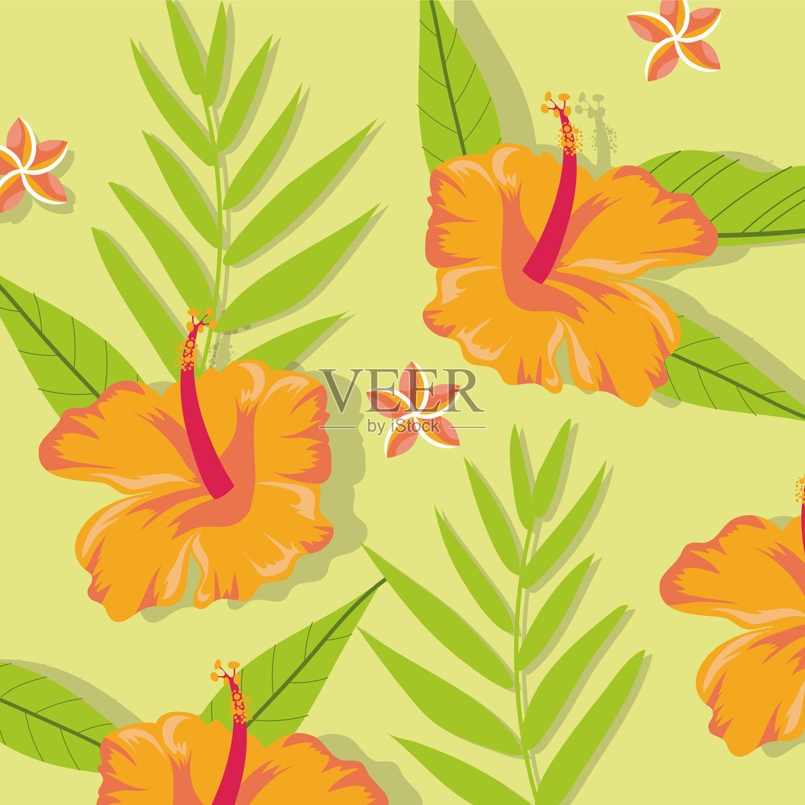 桔黄色花卉植物热带图案背景插画图片素材