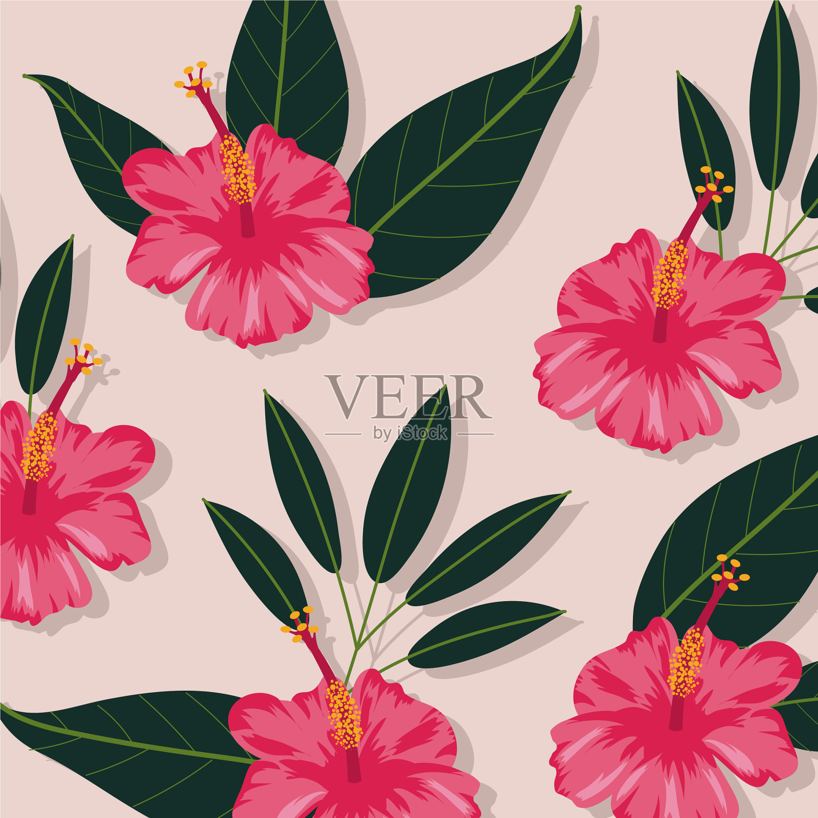 粉红色花朵植物热带图案背景插画图片素材