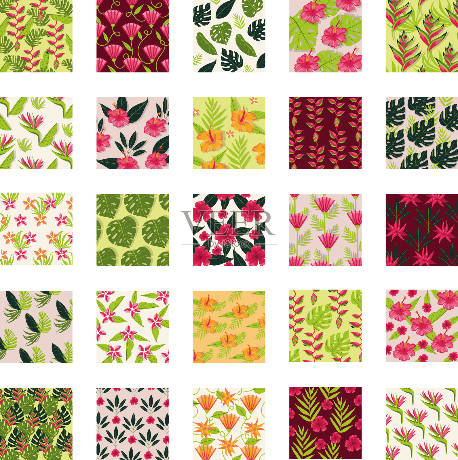 树叶和植物热带图案背景插画图片素材