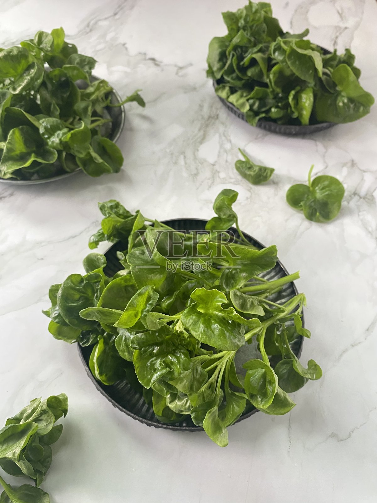 巴西的菠菜照片摄影图片