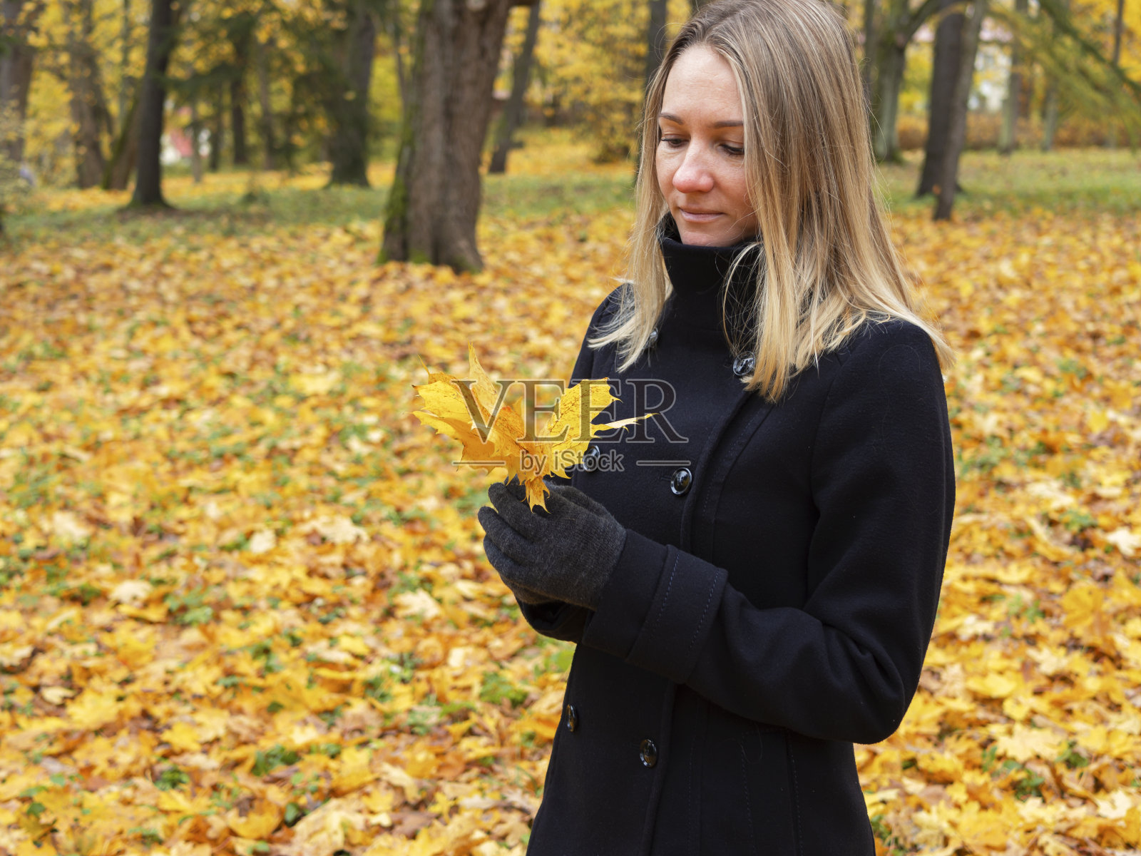 秋天公园里的女孩照片摄影图片