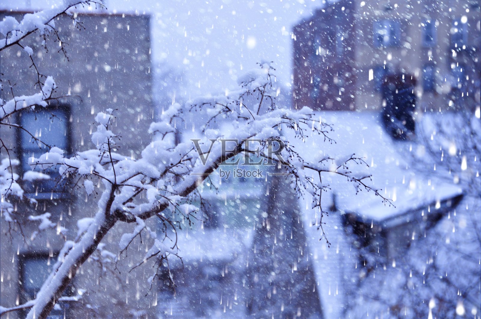 下雪的一天照片摄影图片