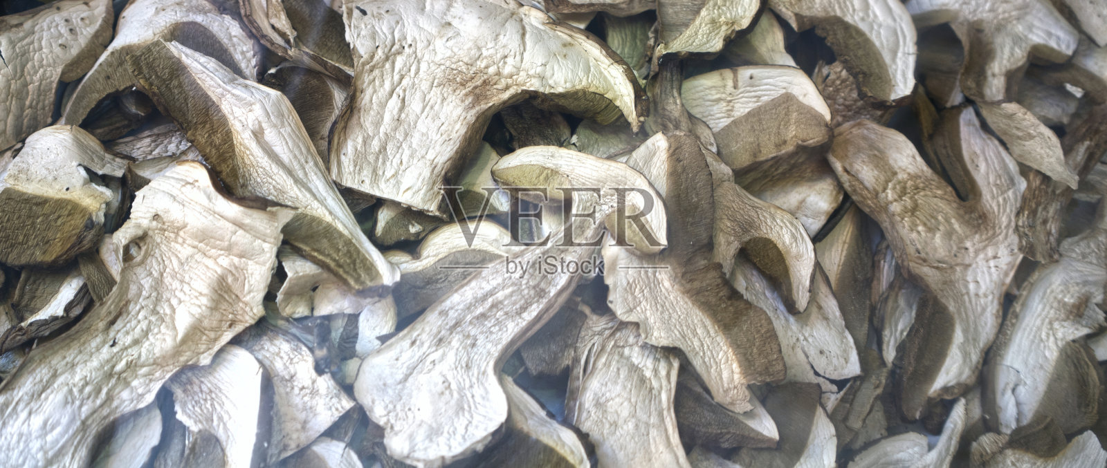 切片蘑菇照片摄影图片