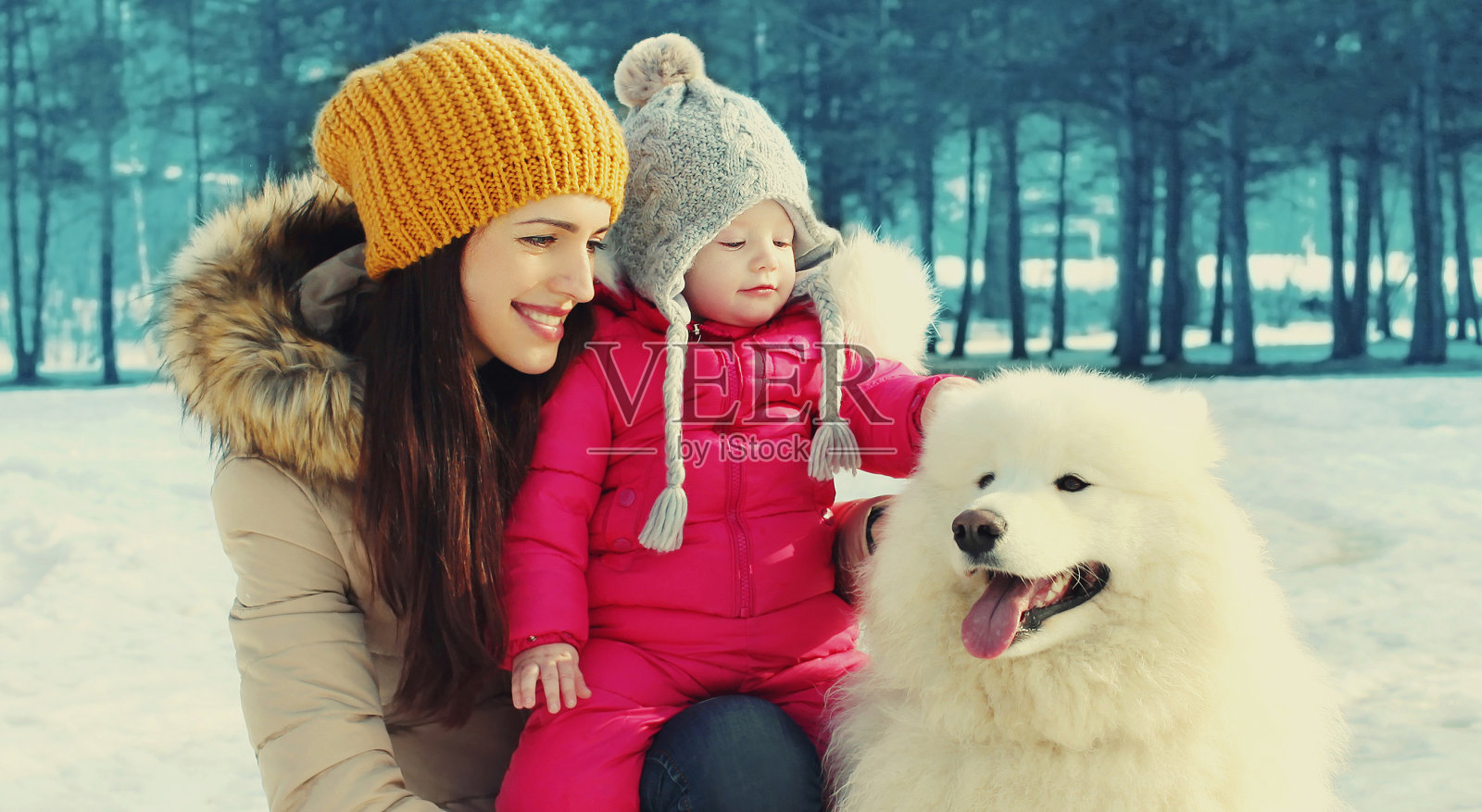 快乐的母亲和孩子与白色萨摩耶狗在冬季公园的肖像照片摄影图片