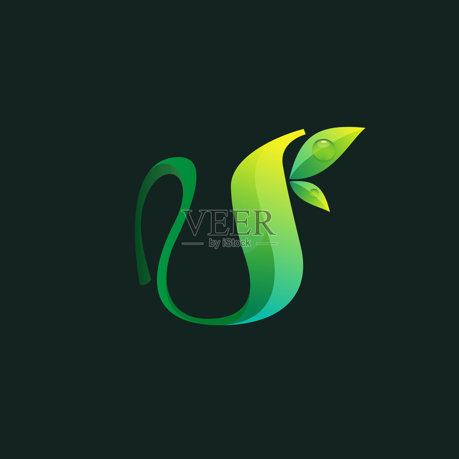 字母U生态标志与绿色的树叶和露珠。插画图片素材