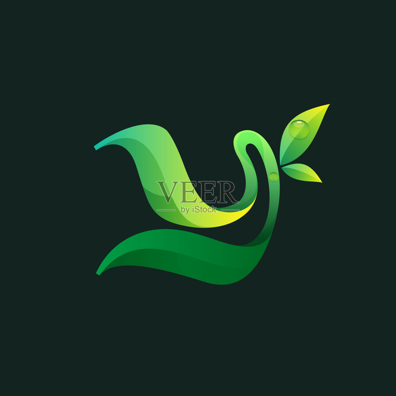 字母Y生态标志，绿叶和露珠。插画图片素材