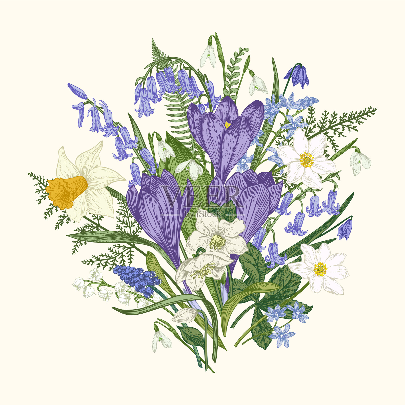 花束鲜花插画图片素材