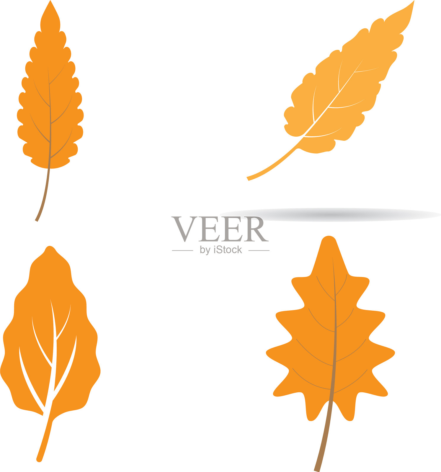 橡树叶子背景插画图片素材