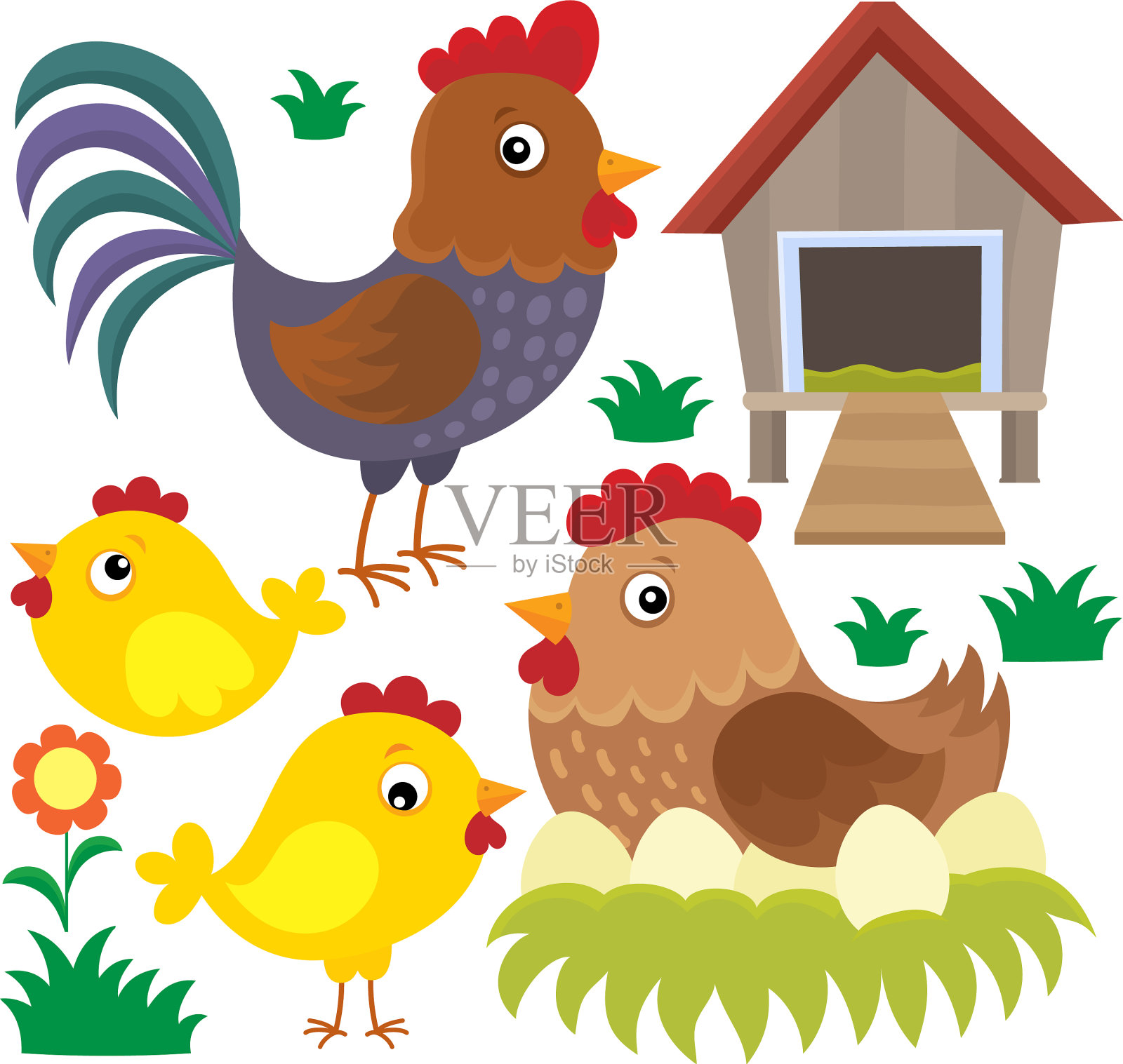 鸡只专题套装2插画图片素材