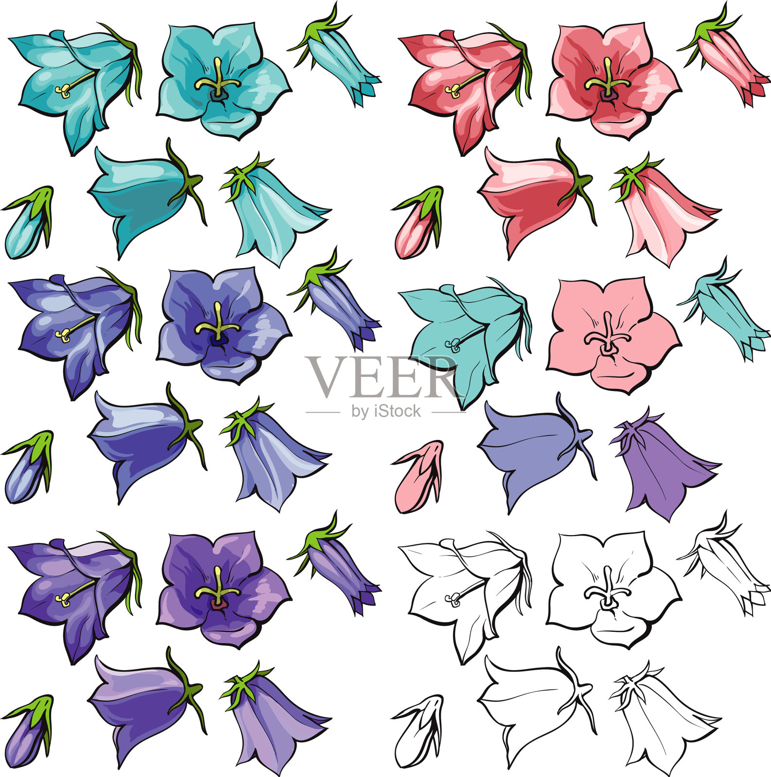 平钟形花，叶，花，茎，结实插画图片素材