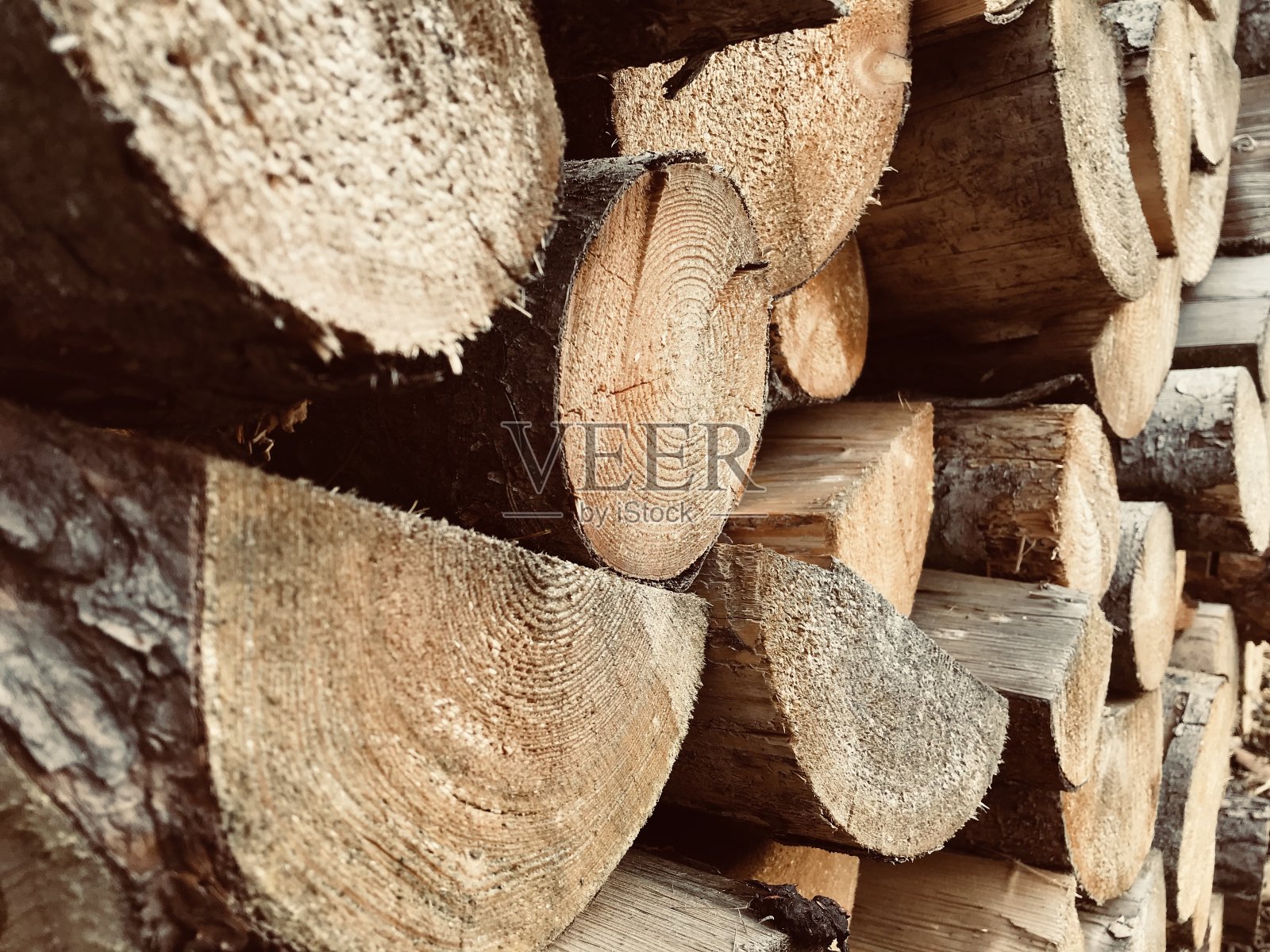 木照片摄影图片