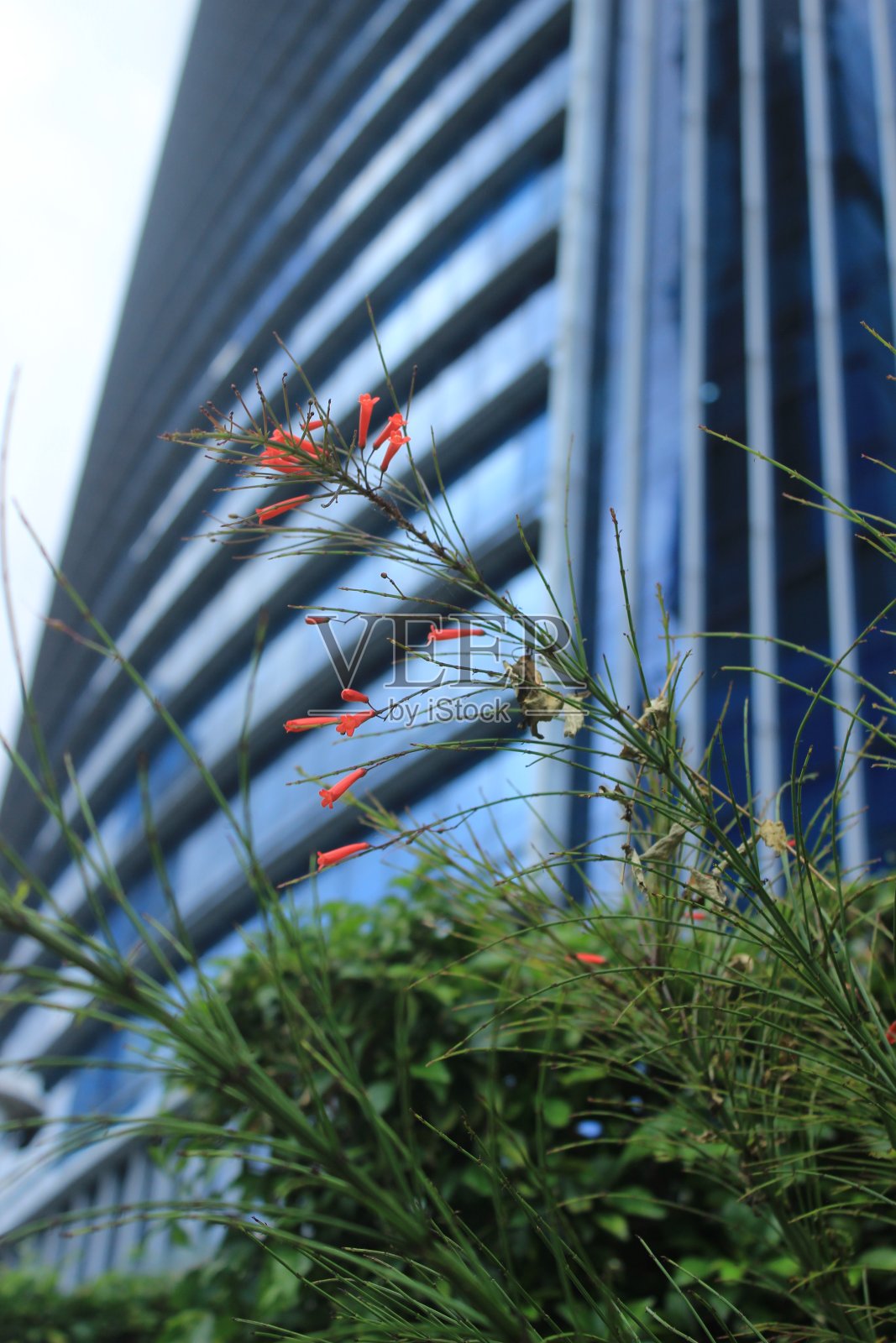 厂房在建筑物前面。照片摄影图片