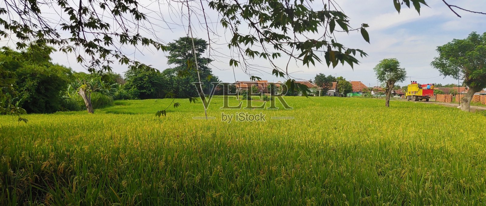 农业照片摄影图片