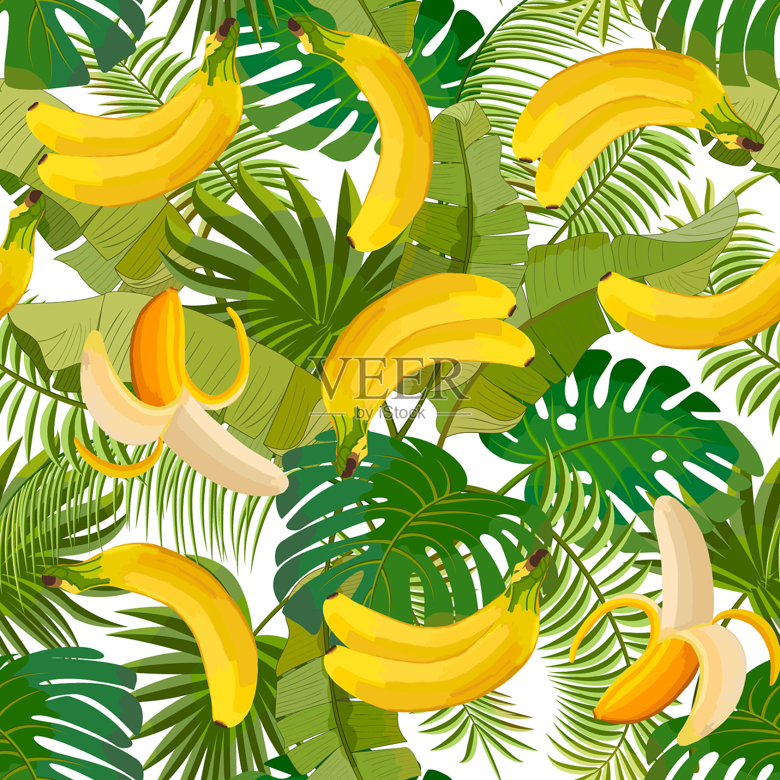 香蕉和叶子的颜色图案插画图片素材