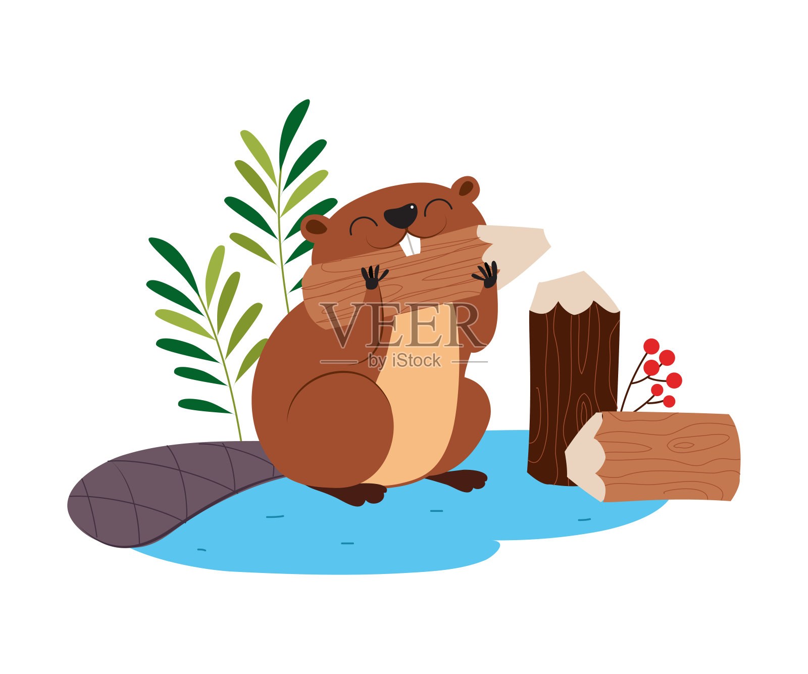 有趣的海狸啮齿动物作为森林动物啃木头dvector插图插画图片素材
