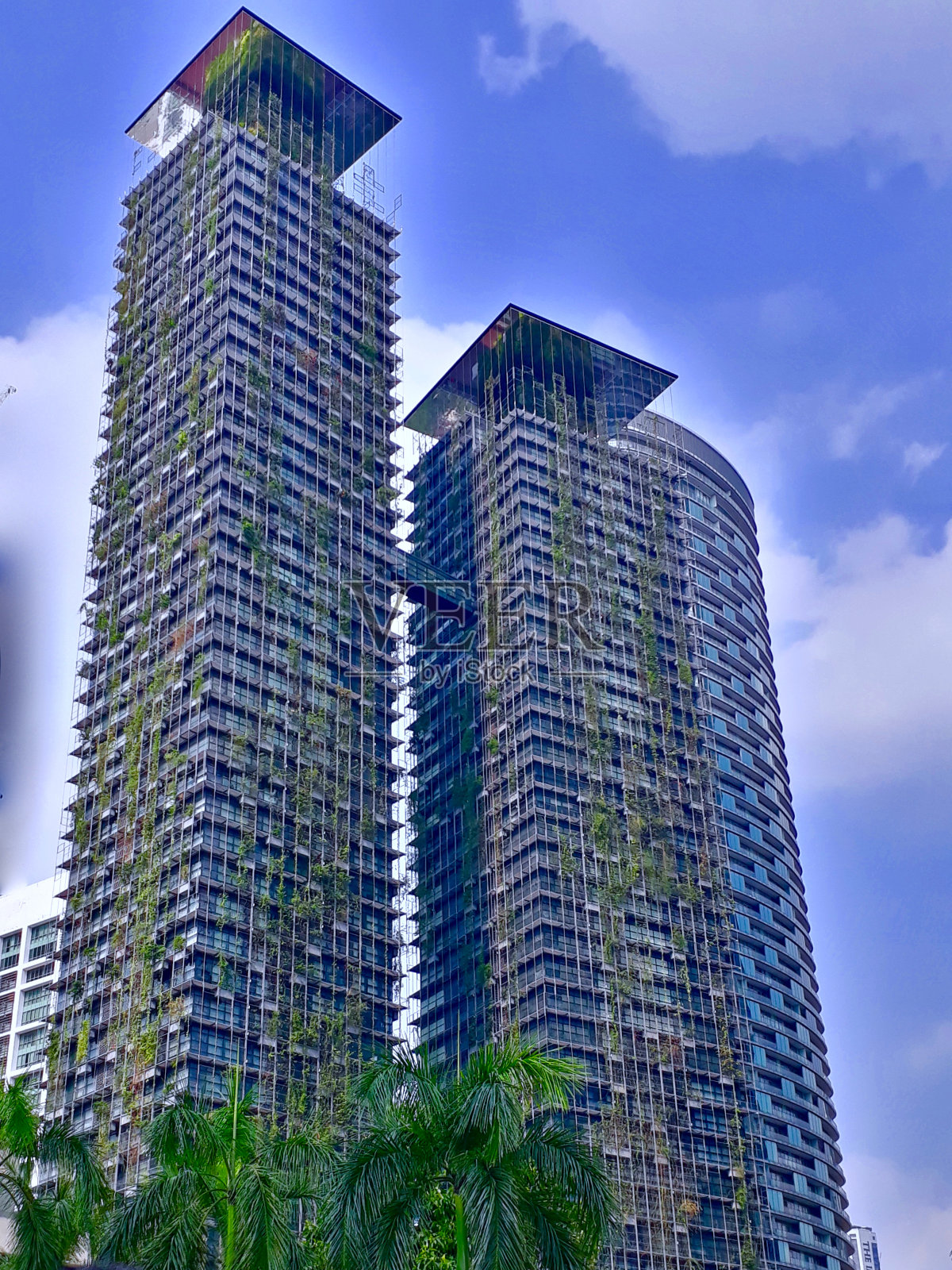 两个摩天大楼照片摄影图片