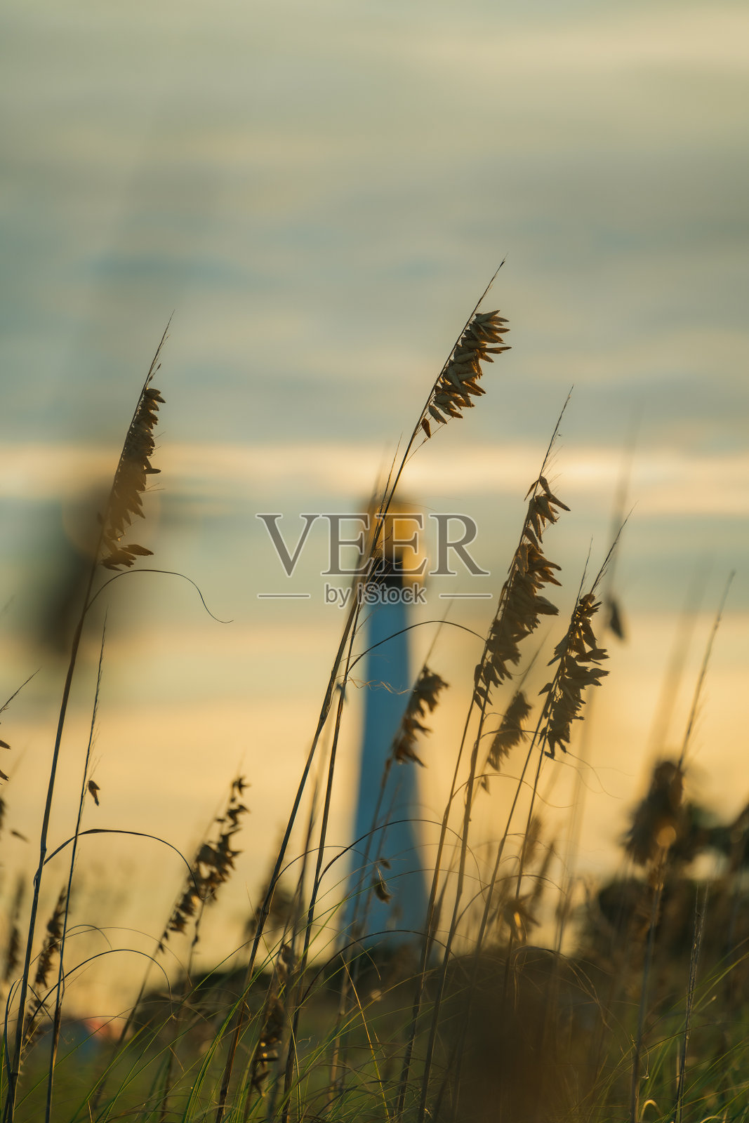 比斯坎湾比尔巴格斯州立公园尽头的灯塔塔照片摄影图片