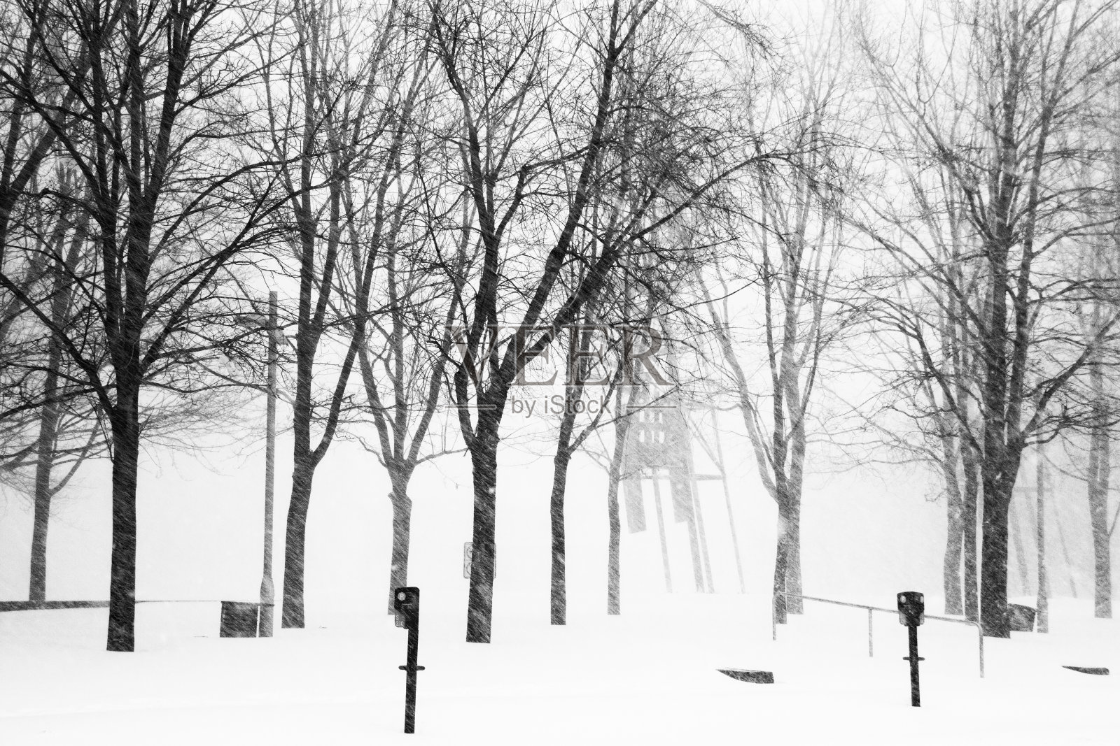 冬天的暴风雪和光秃秃的树木照片摄影图片