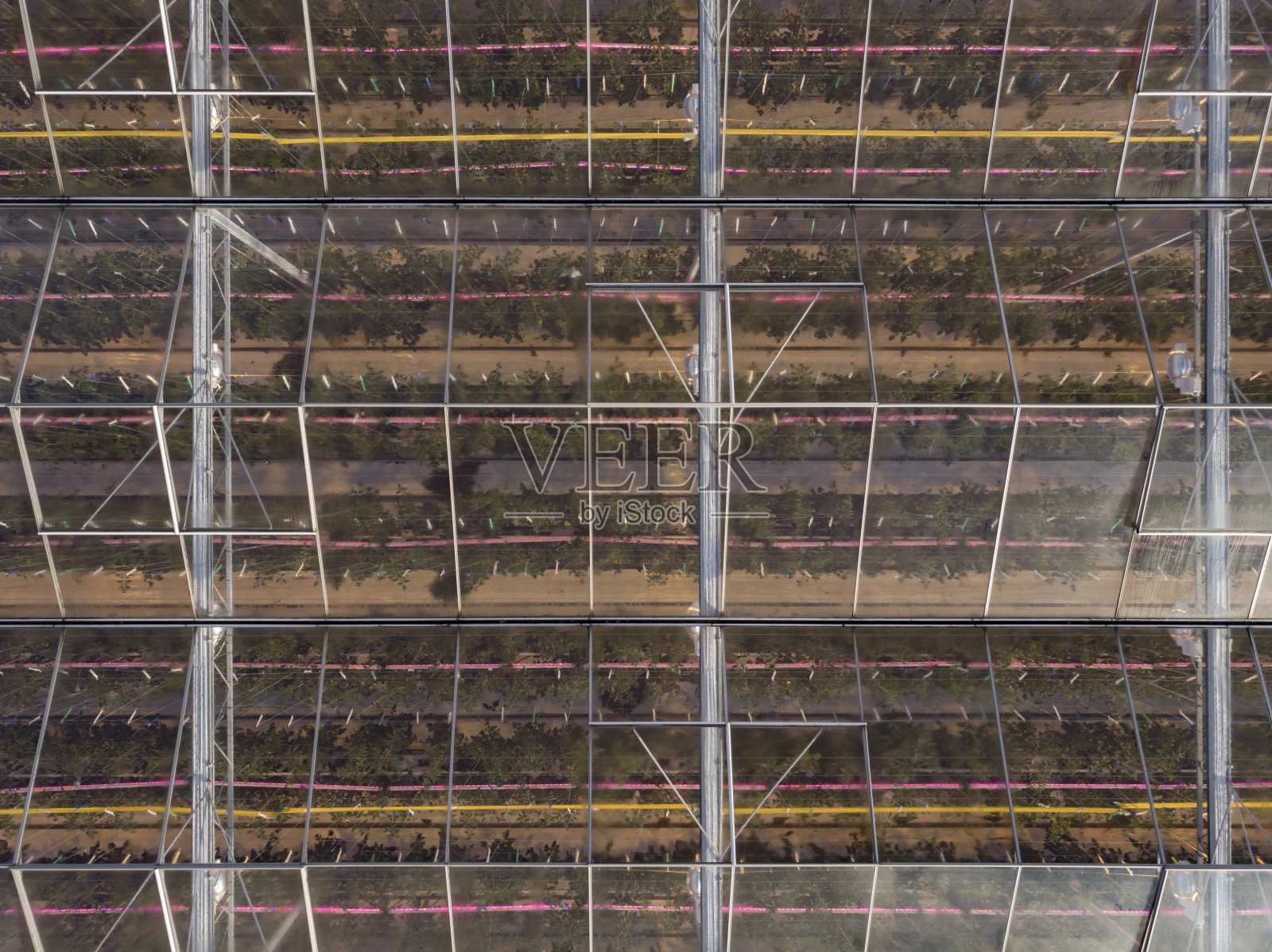 荷兰一座现代农业温室的鸟瞰图，该温室使用LED灯来支持植物的生长照片摄影图片
