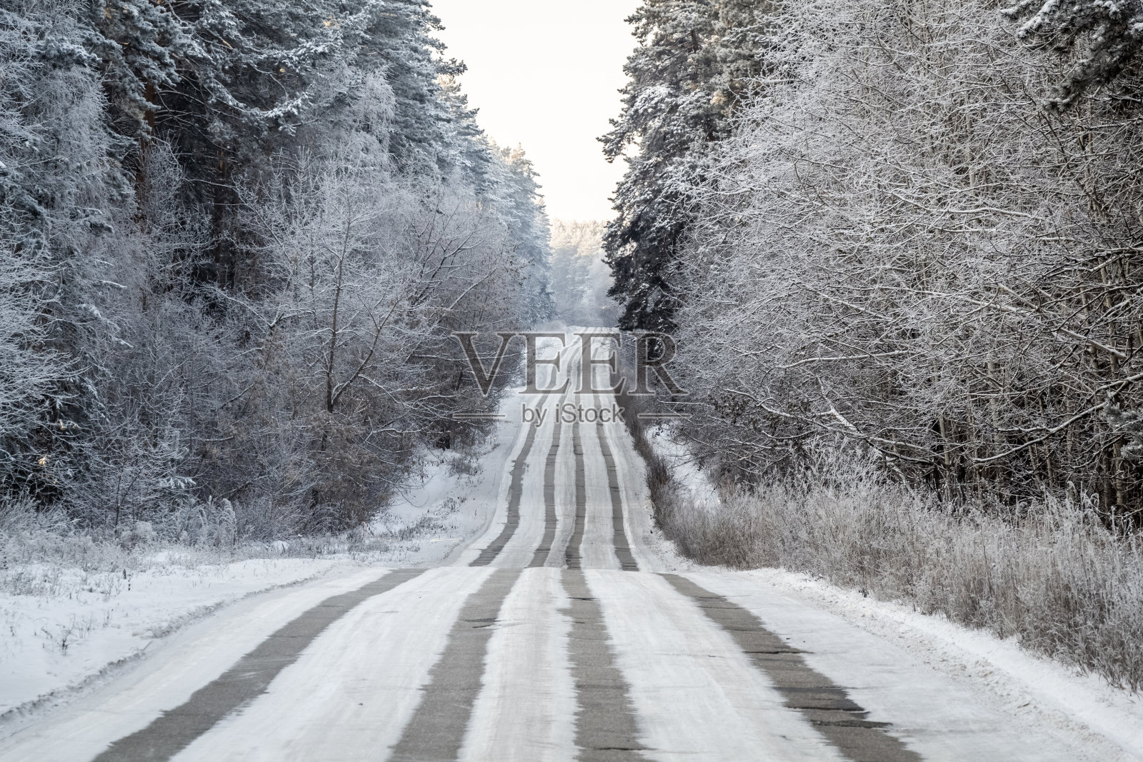 穿过冬天森林的路照片摄影图片