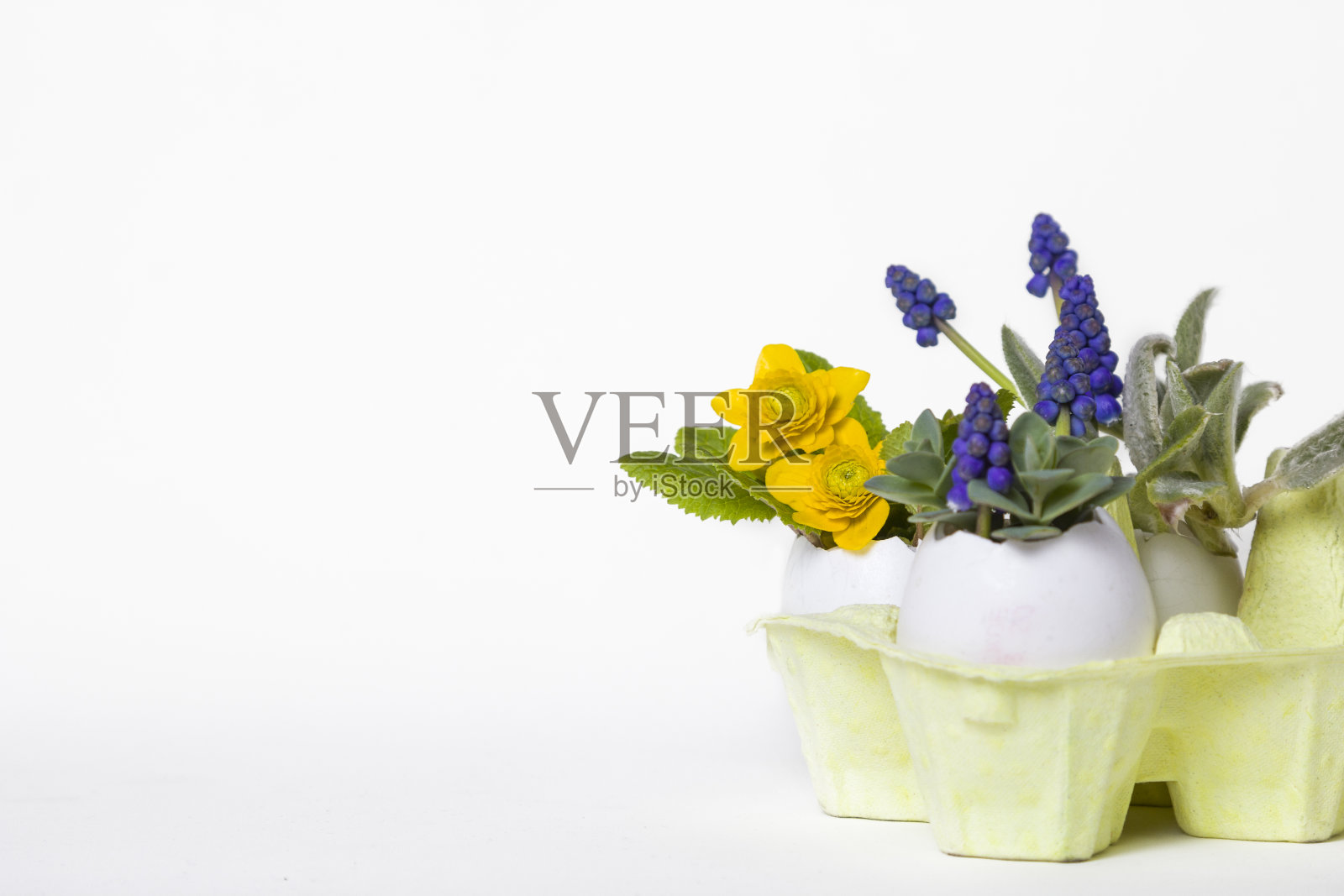 色彩缤纷的复活节蛋壳花盆春花，背景明亮。复活节贺卡概念时尚简约风格，复制空间照片摄影图片