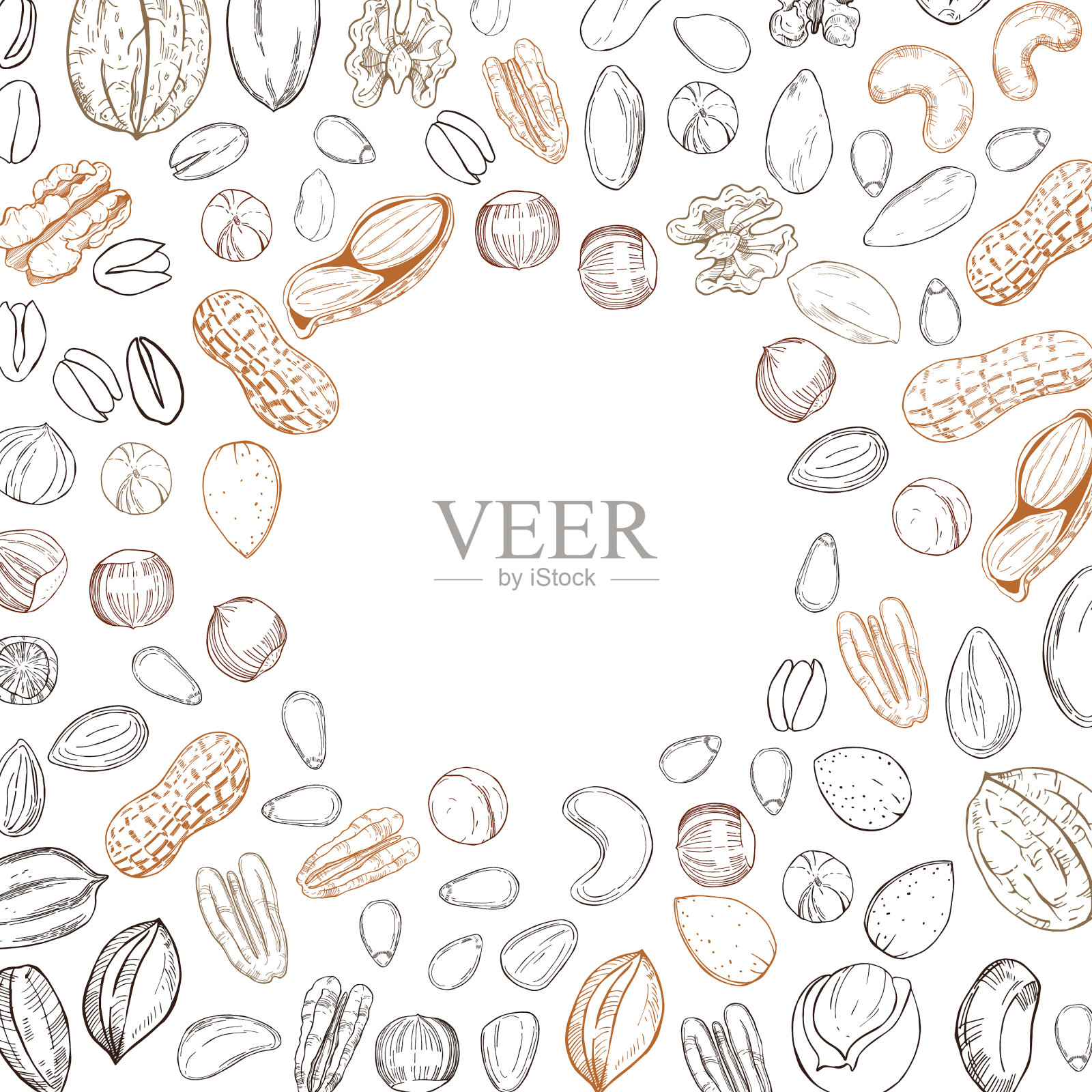 背景与手绘螺母草图插画图片素材