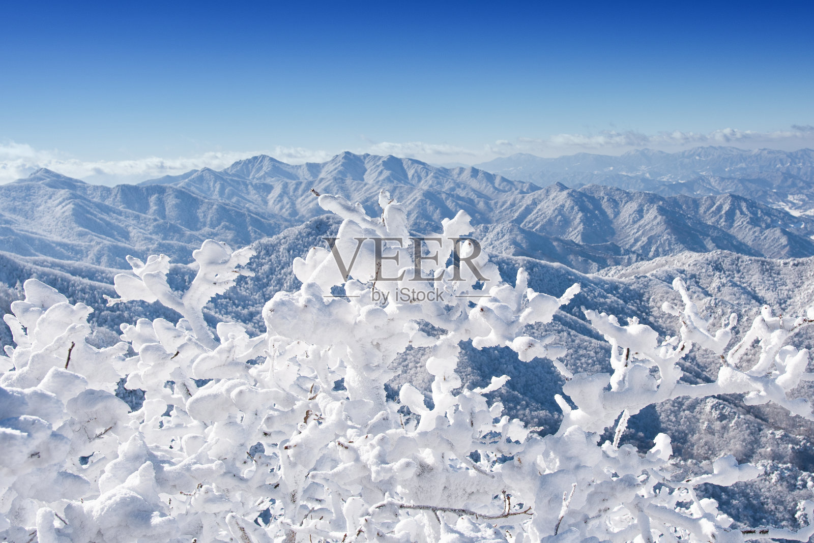 山顶上的雾凇照片摄影图片