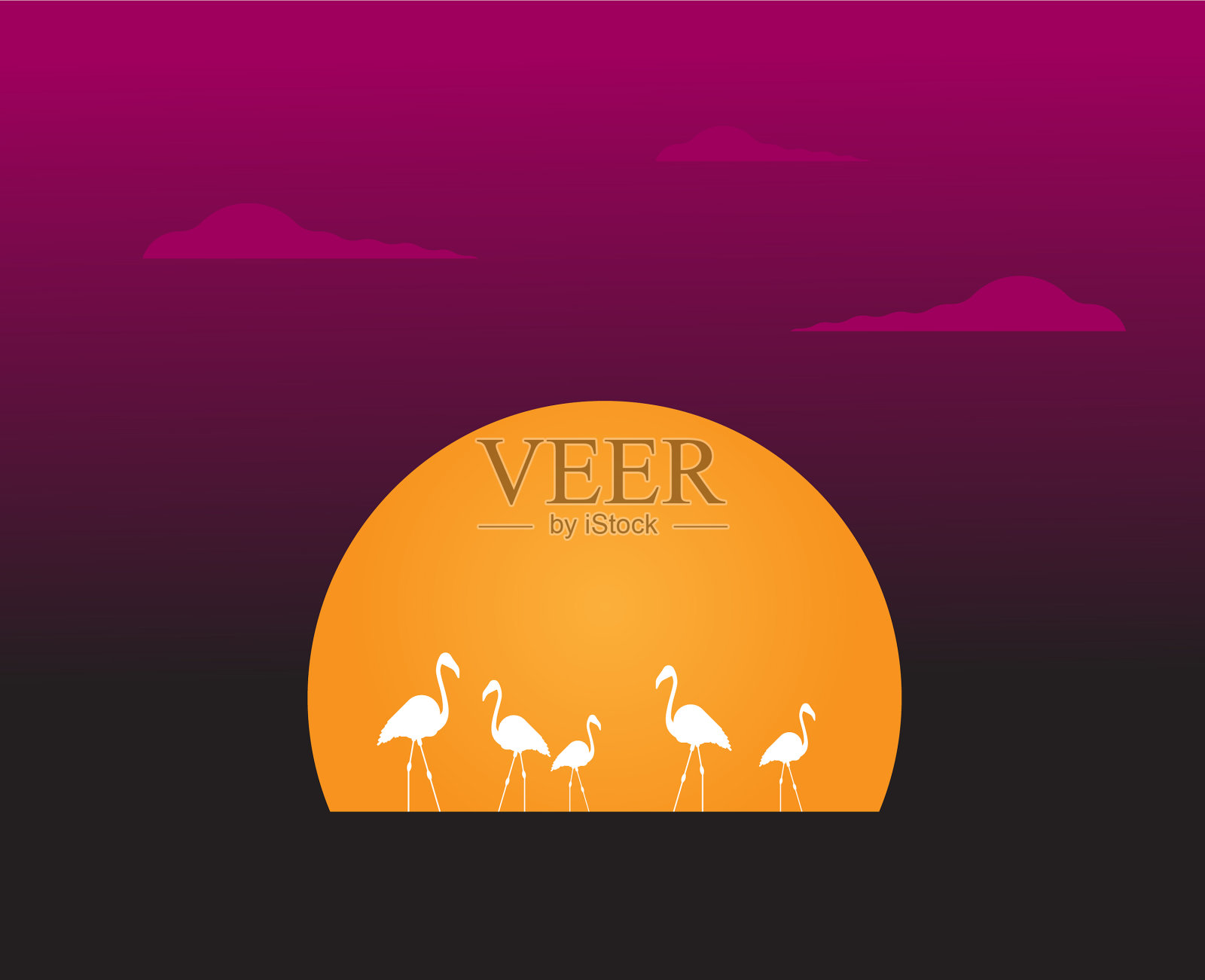 平的火烈鸟鸟插画图片素材