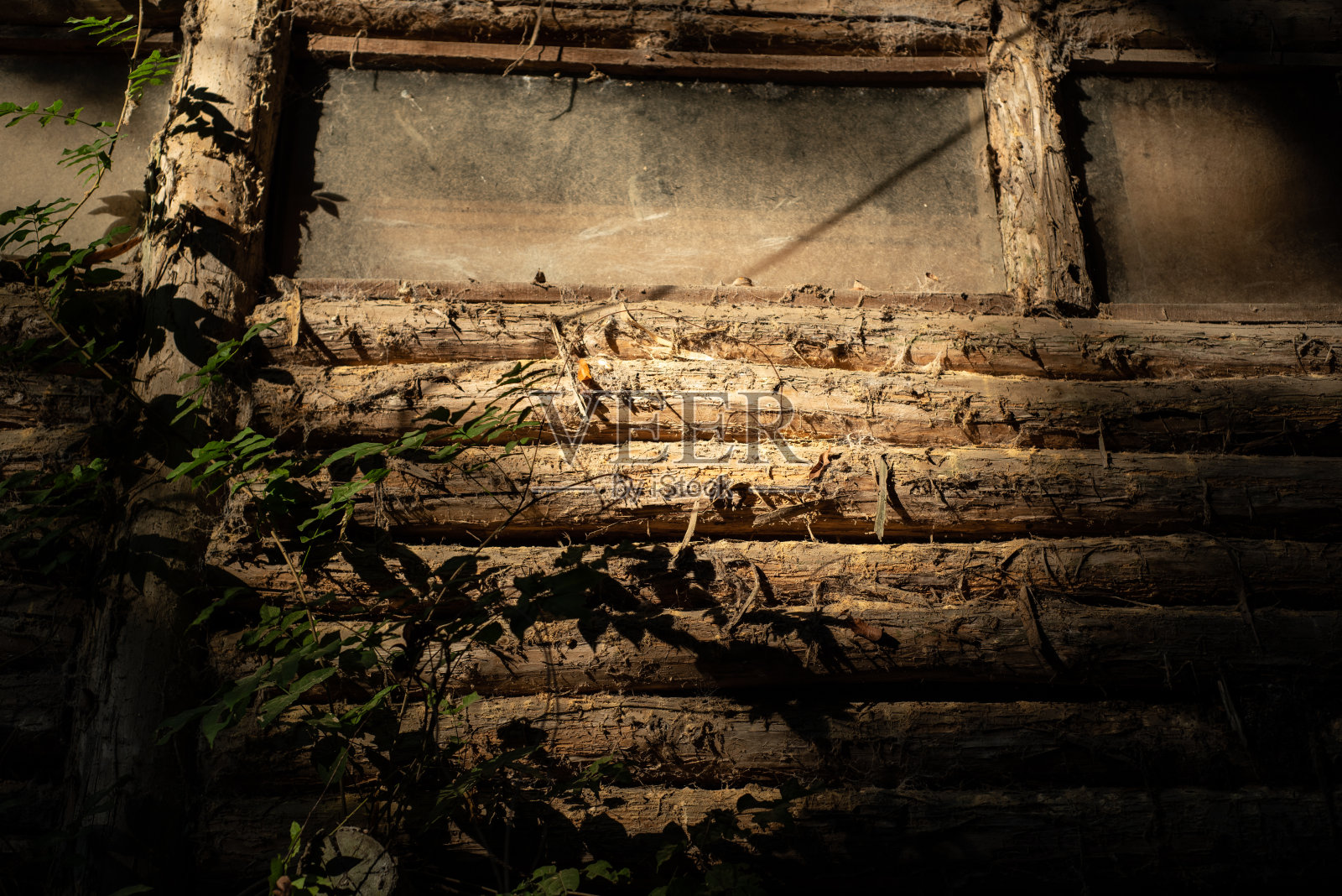 家自然照片摄影图片