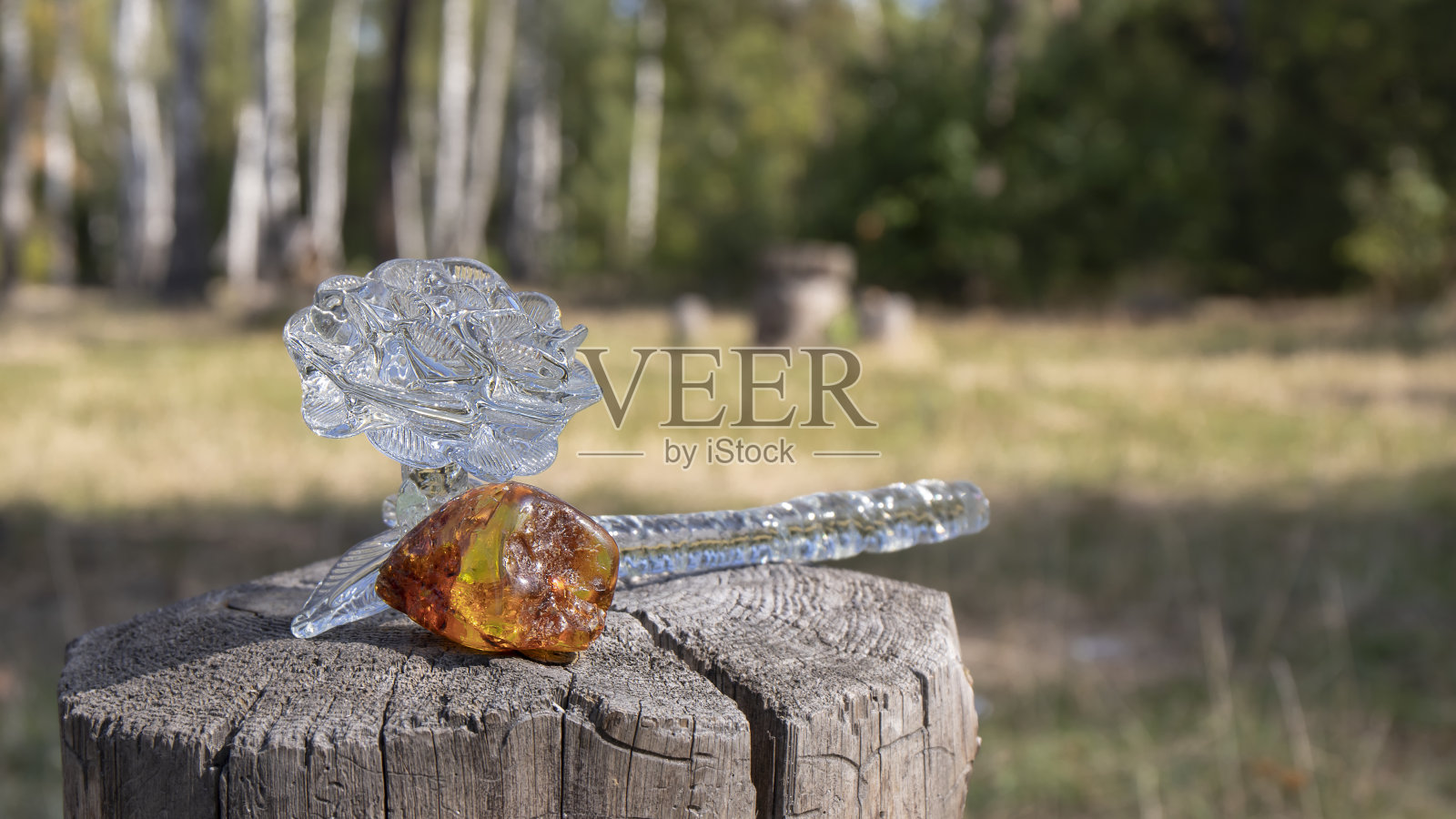 一片天然的波罗的海橙色琥珀和复古水晶玫瑰作为装饰小树桩在阳光灿烂的草坪。照片摄影图片