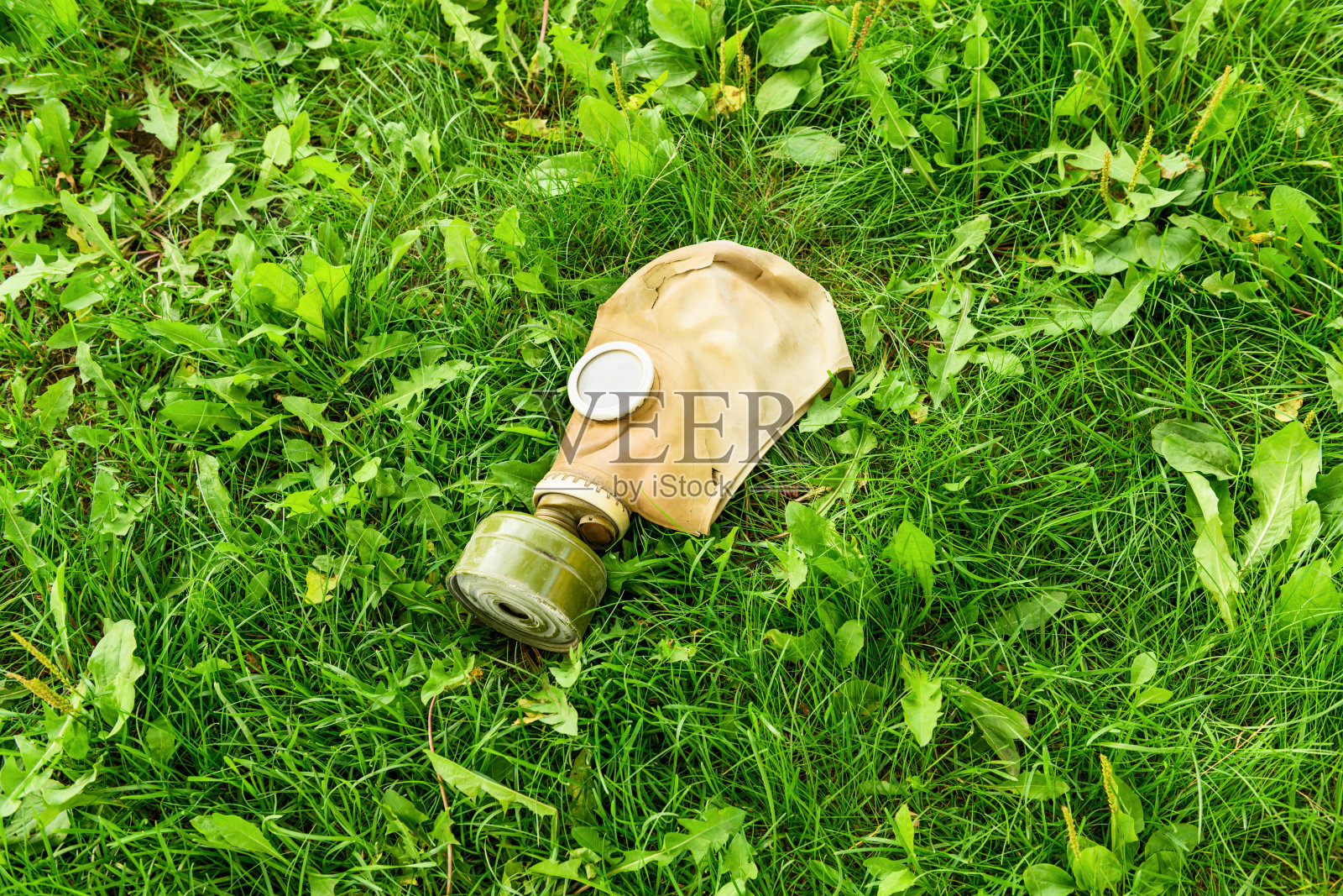 绿色的草地上放着一个旧的防毒面具。环保理念照片摄影图片
