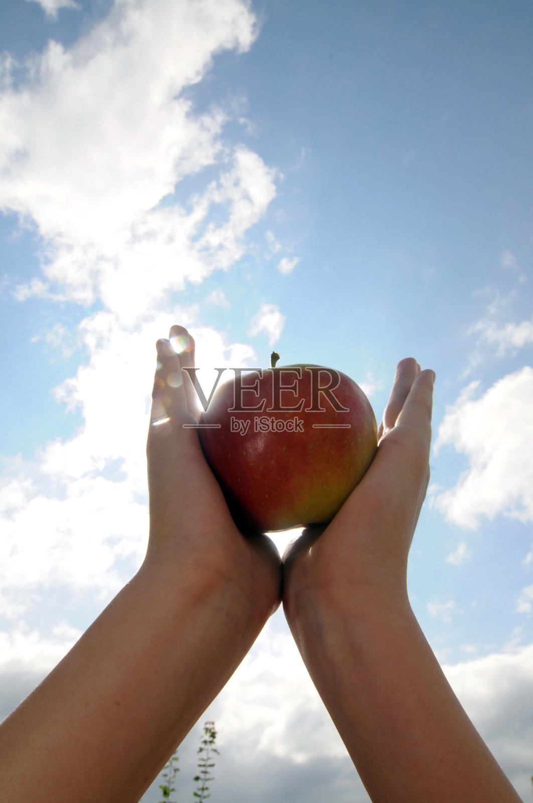 消费者手里拿着苹果照片摄影图片