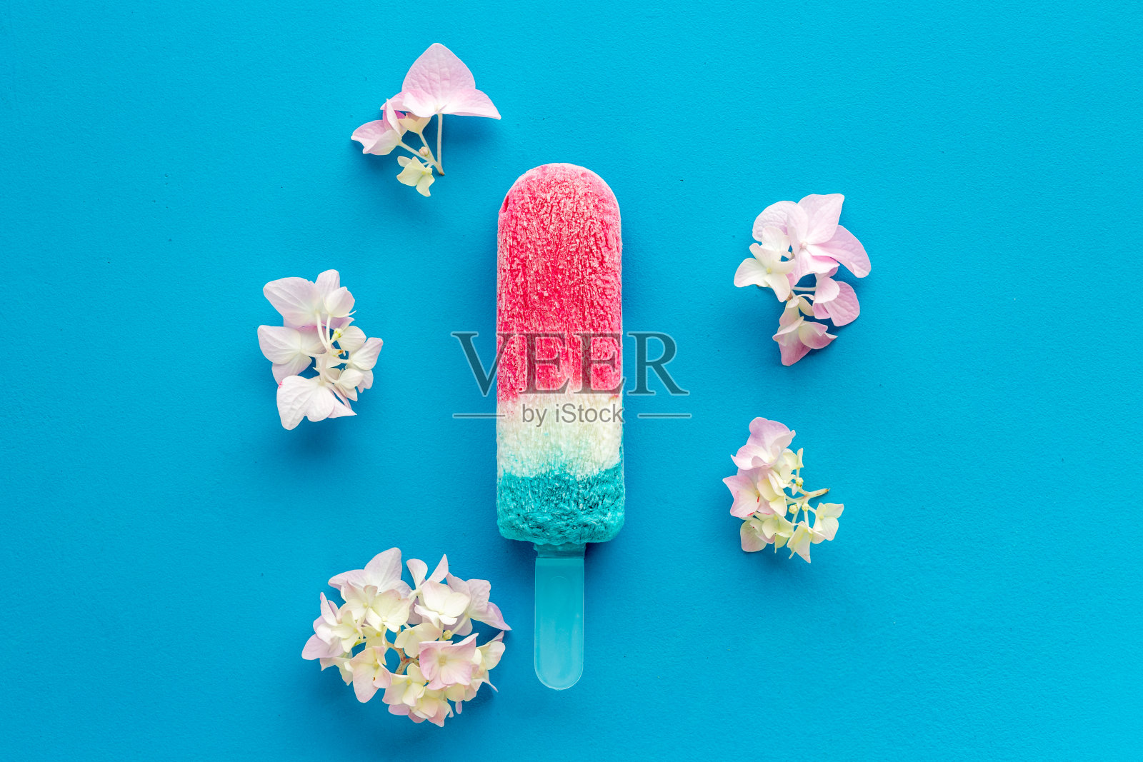 彩色水果冰棒-棒状冰淇淋，俯视图照片摄影图片