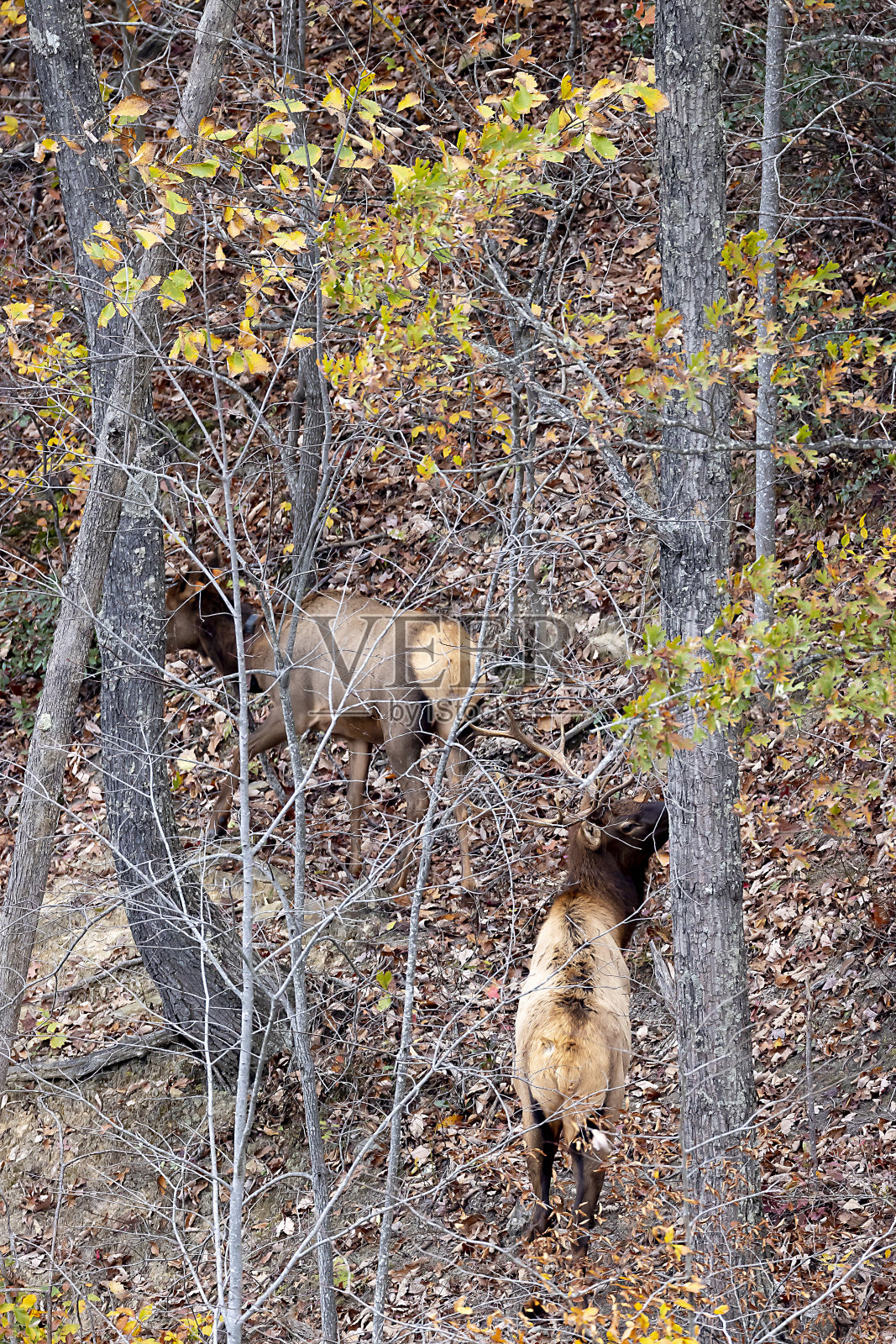 每一个照片摄影图片