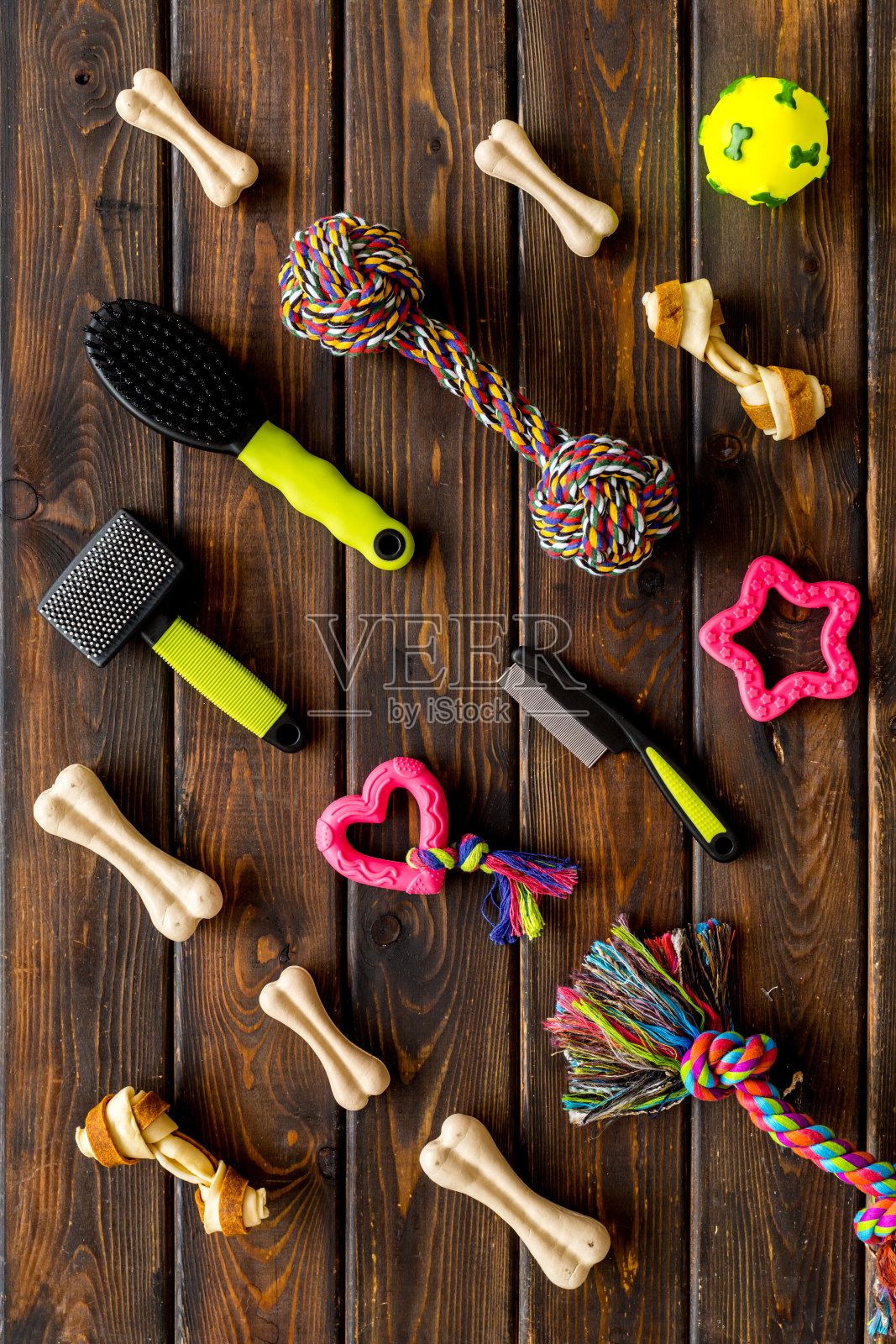 一套宠物配件的狗和猫，俯视图照片摄影图片